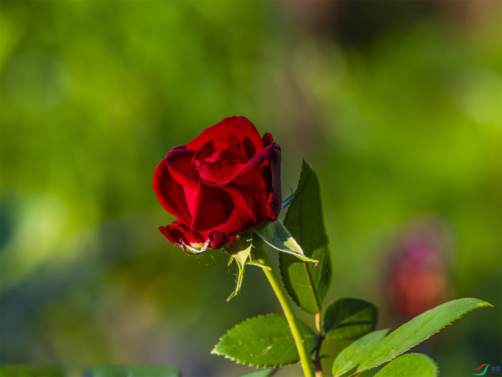 014 ����1.jpg