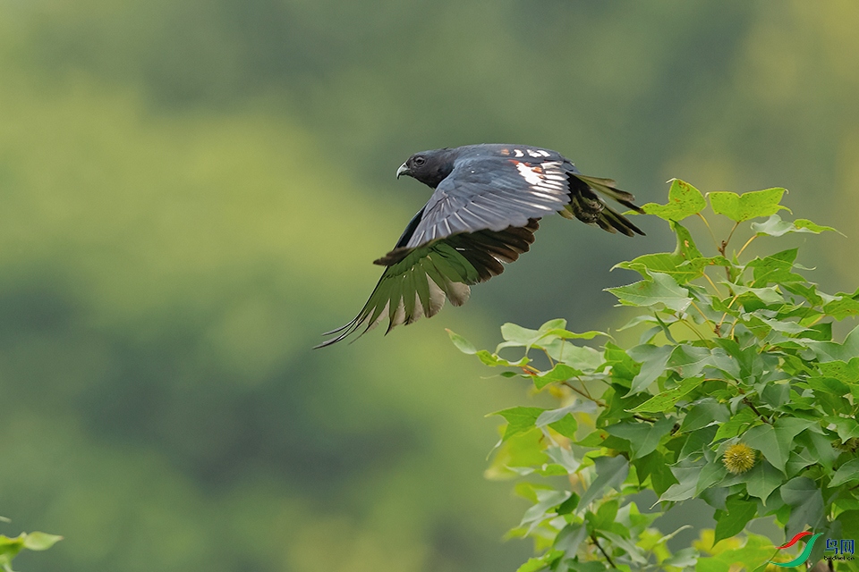 DSC_8357_DxOa.jpg