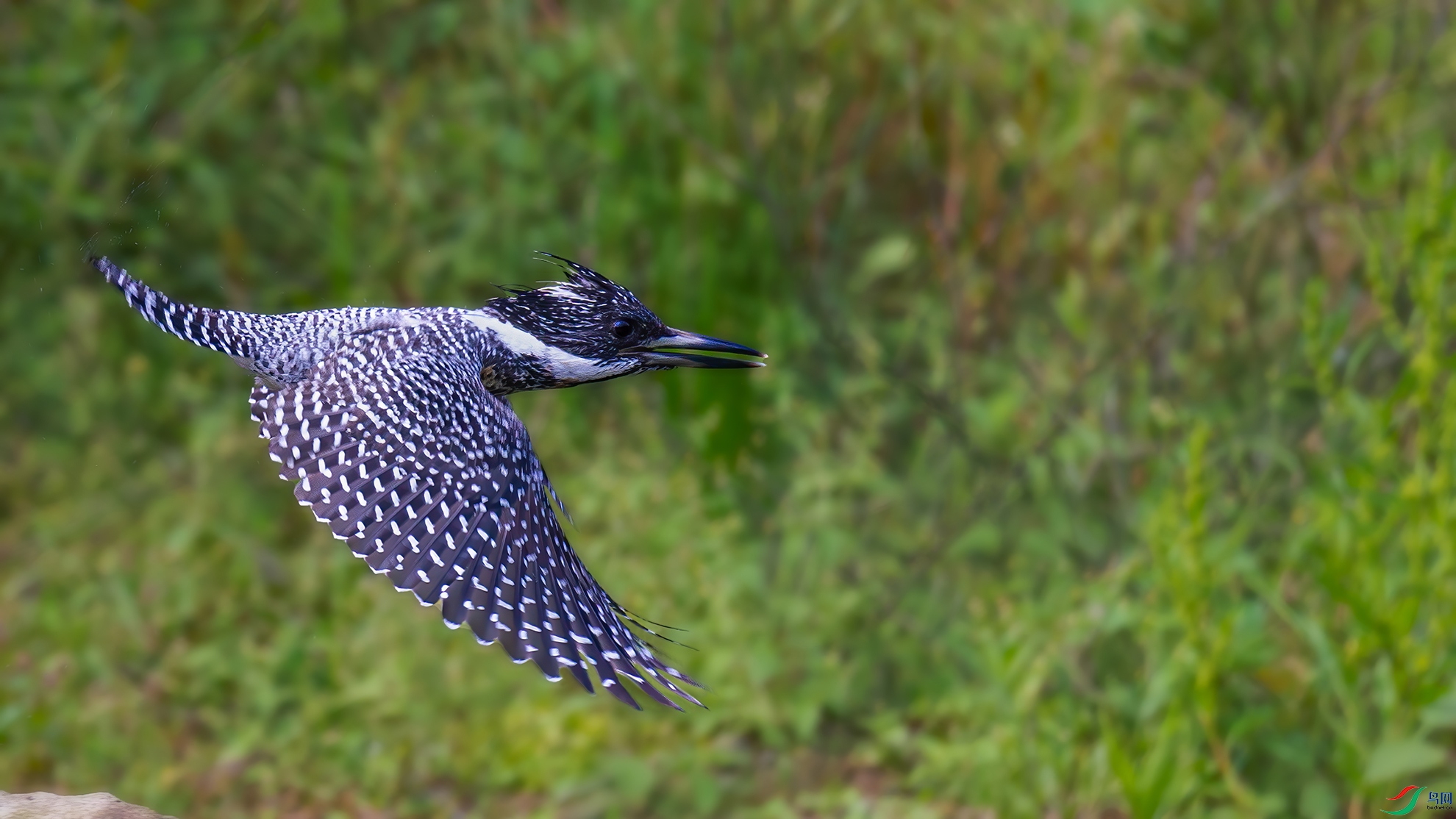 _FQ_4084-01.jpg