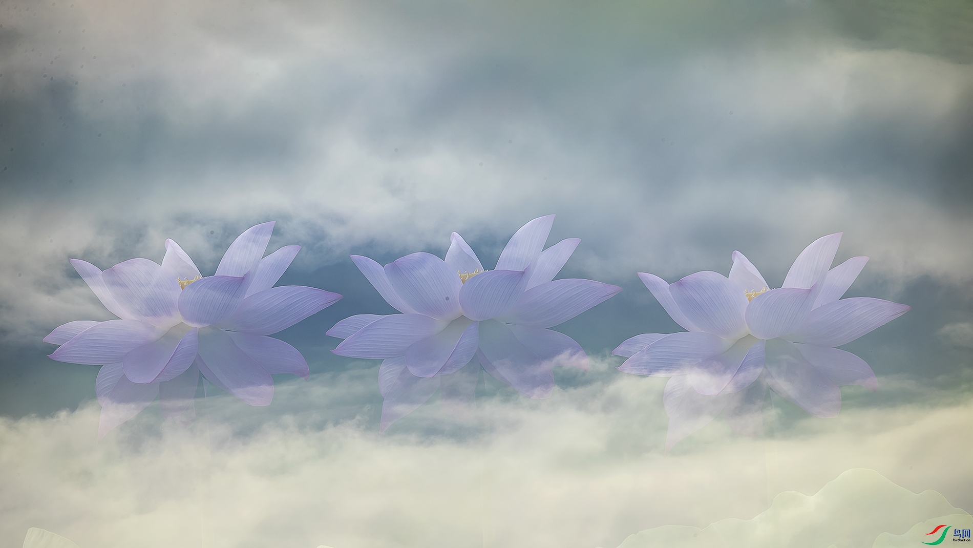 _30I9555-1a ����c.jpg