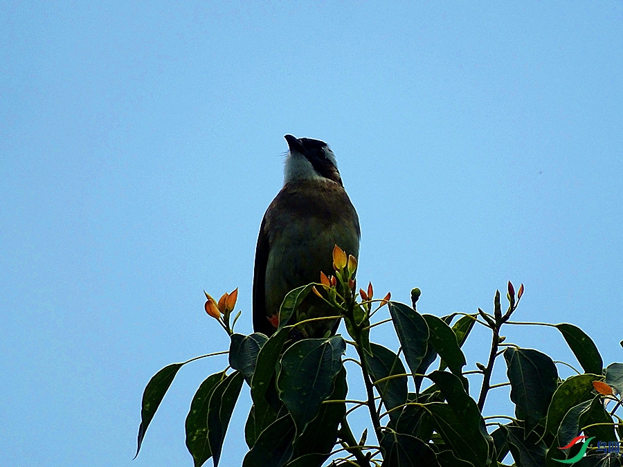 DSC02188.JPG
