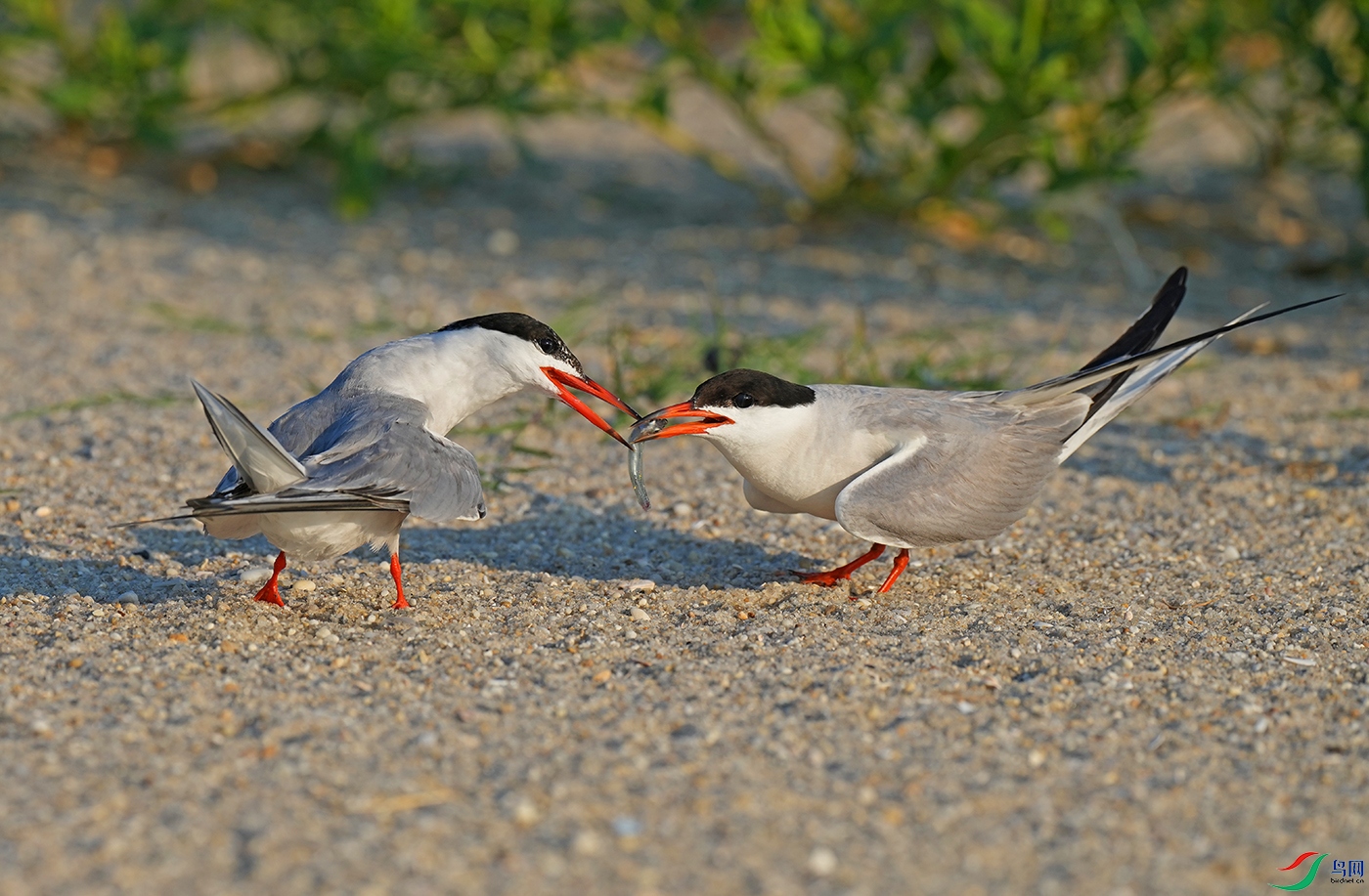 DSD03933----.jpg