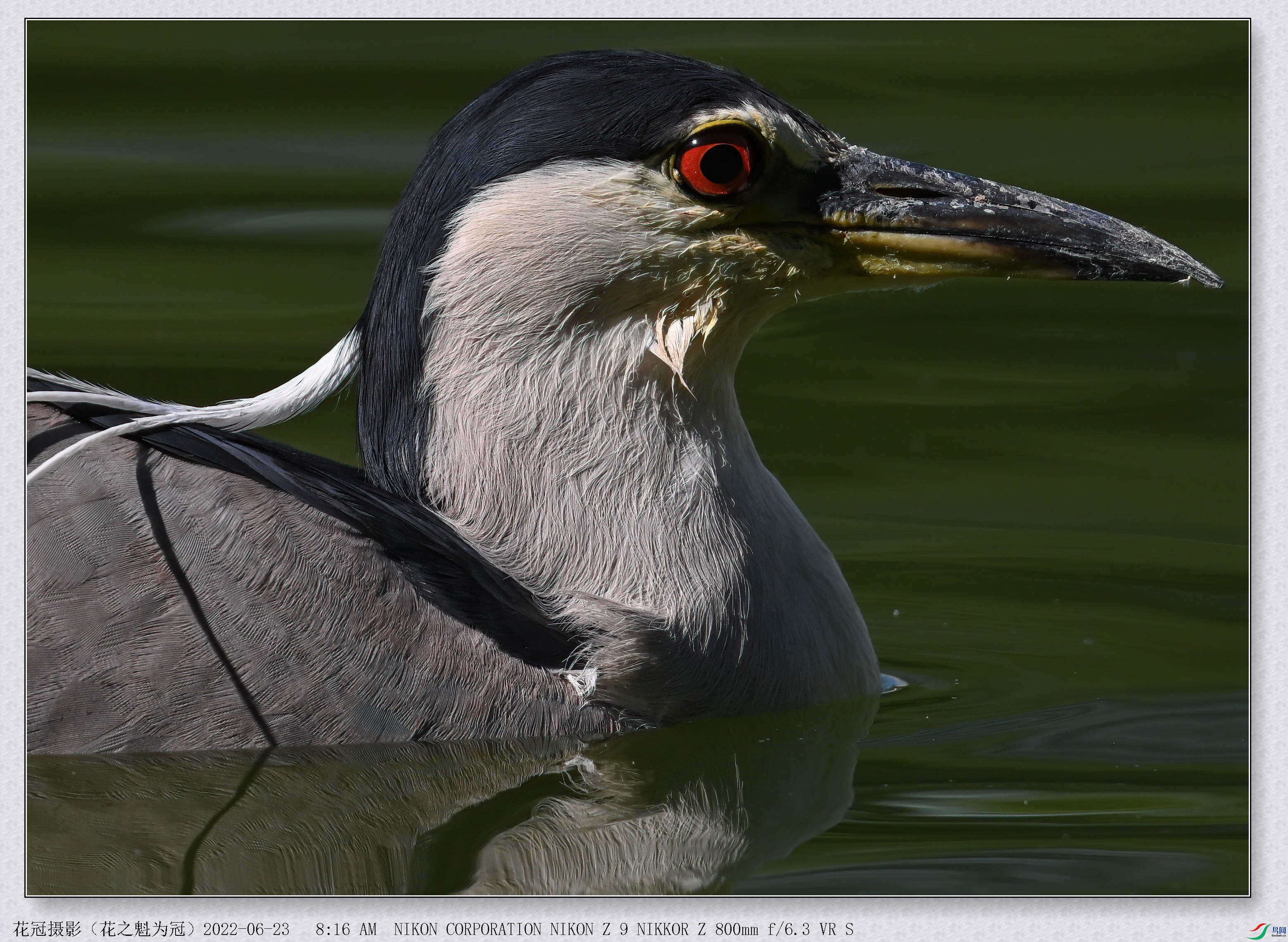 DSC_0314AAA-DeNoiseAI-low-light_����.jpg