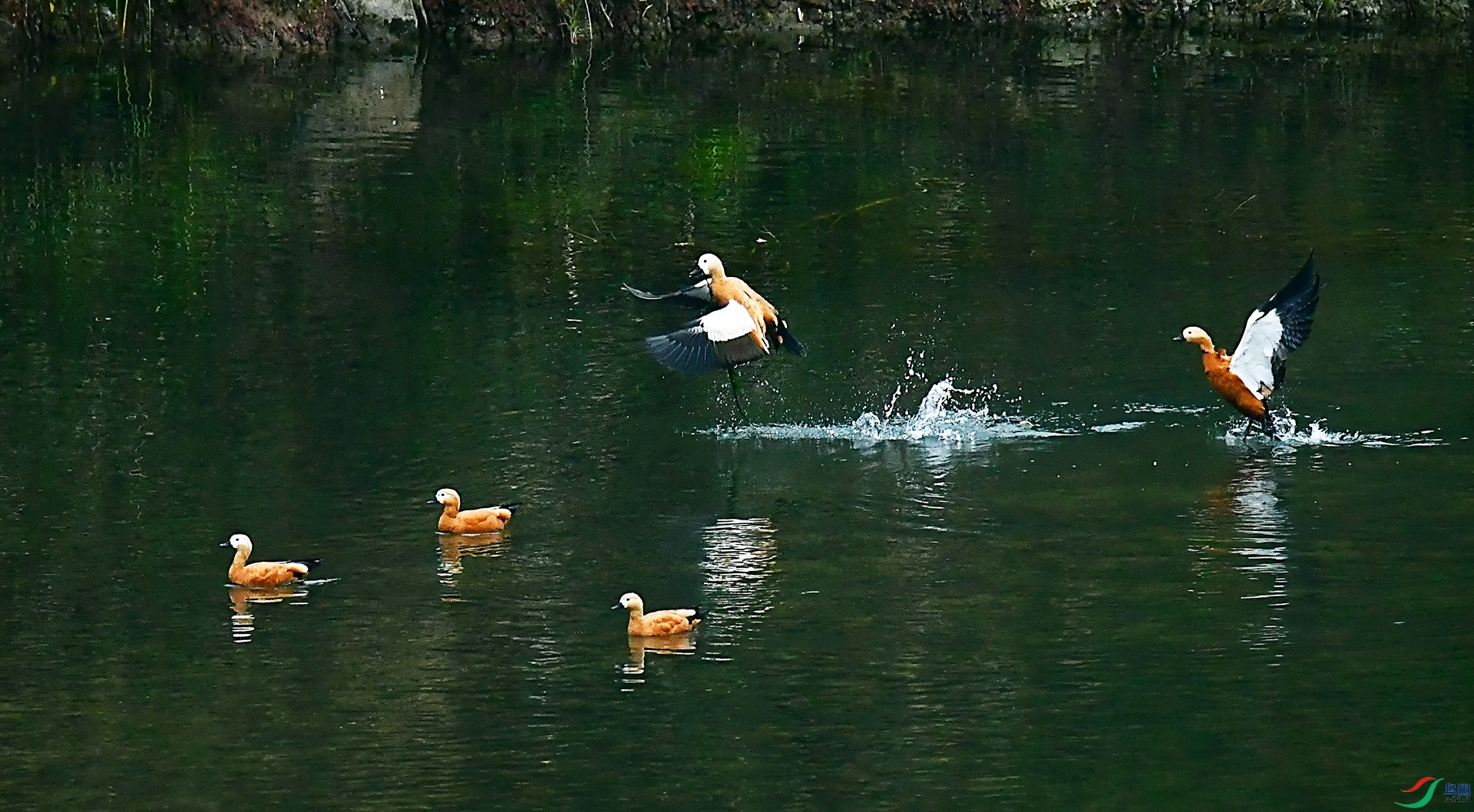 DSC_5815.jpg