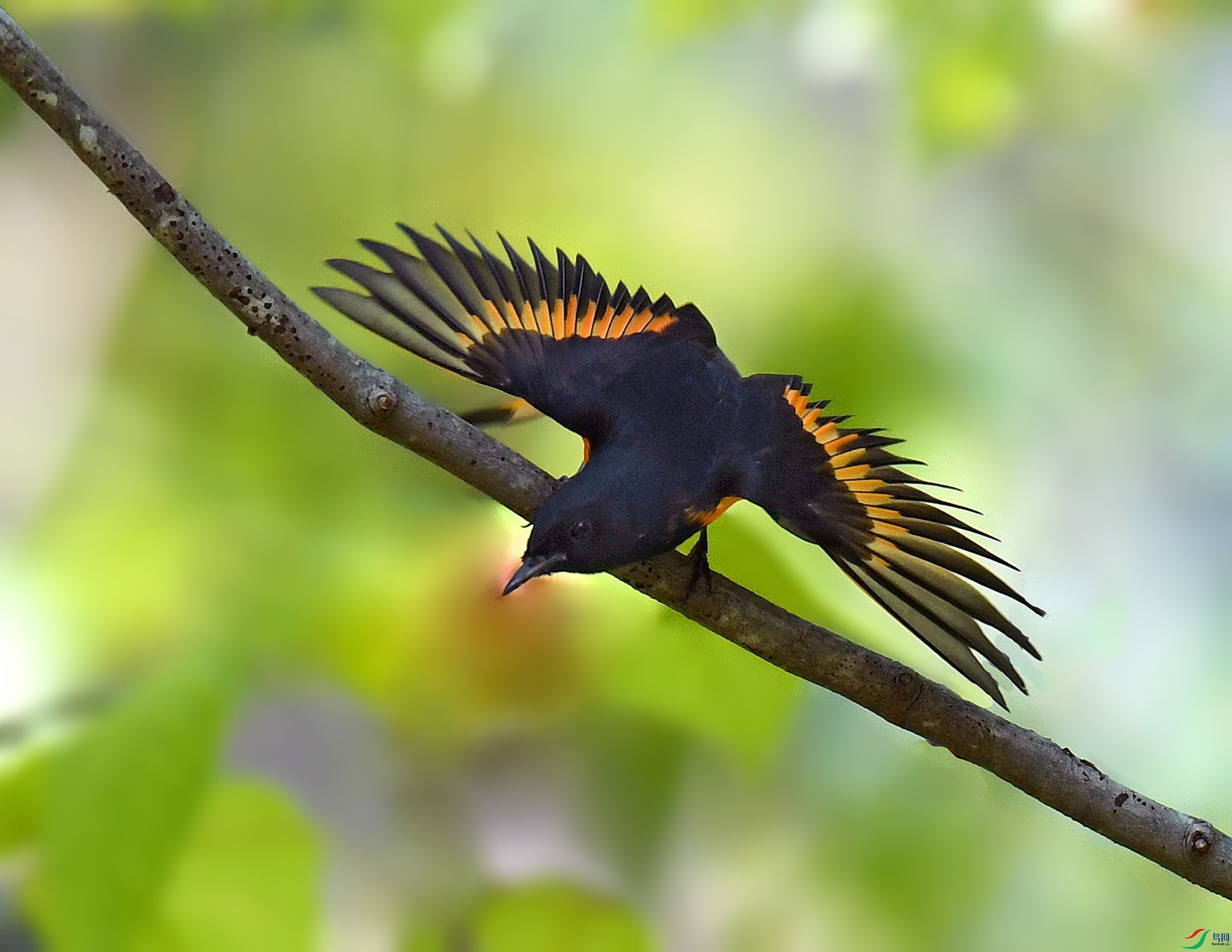 ��Ƭ 725 - ����.jpg