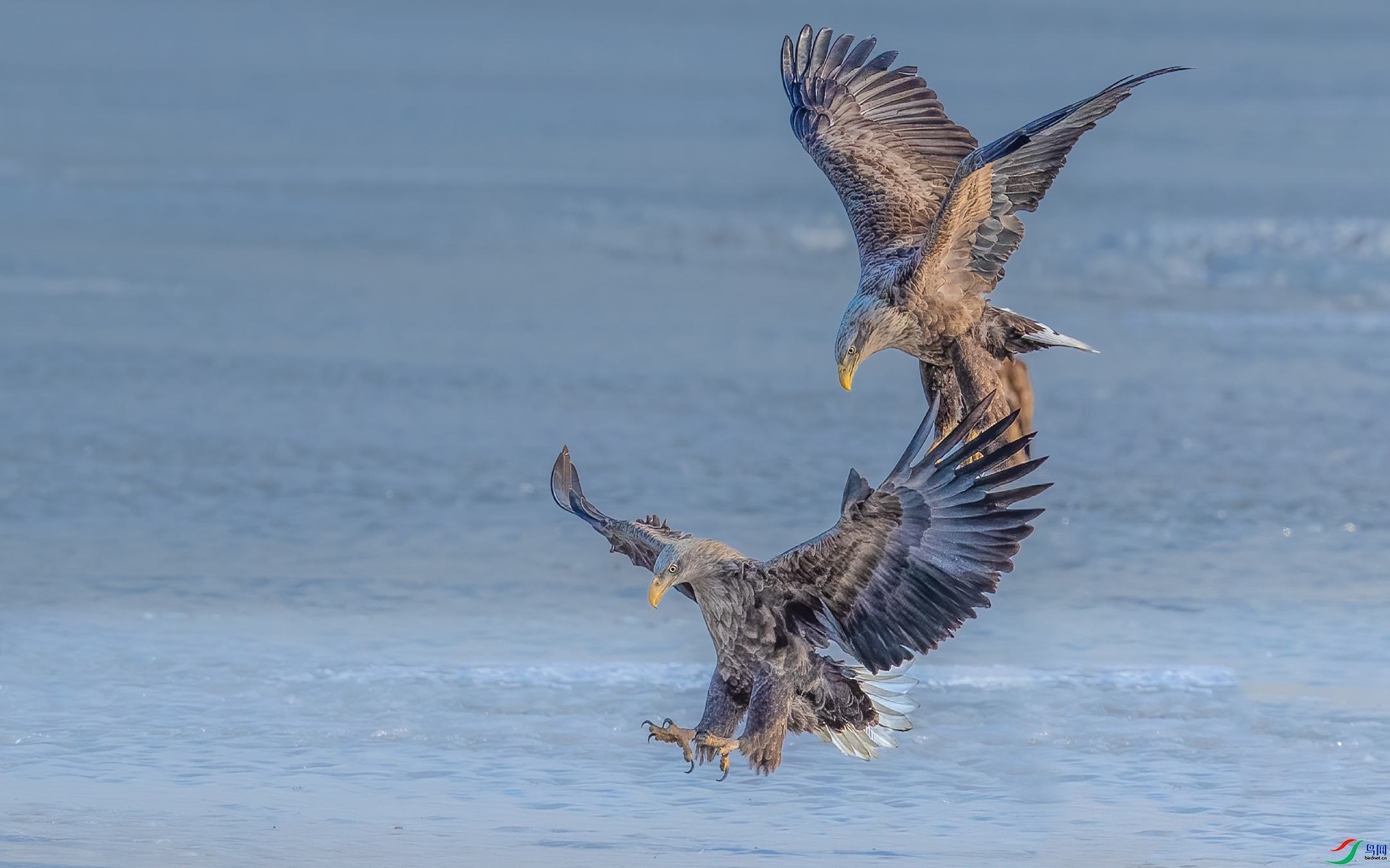 陈奇.jpg 陈奇.jpg