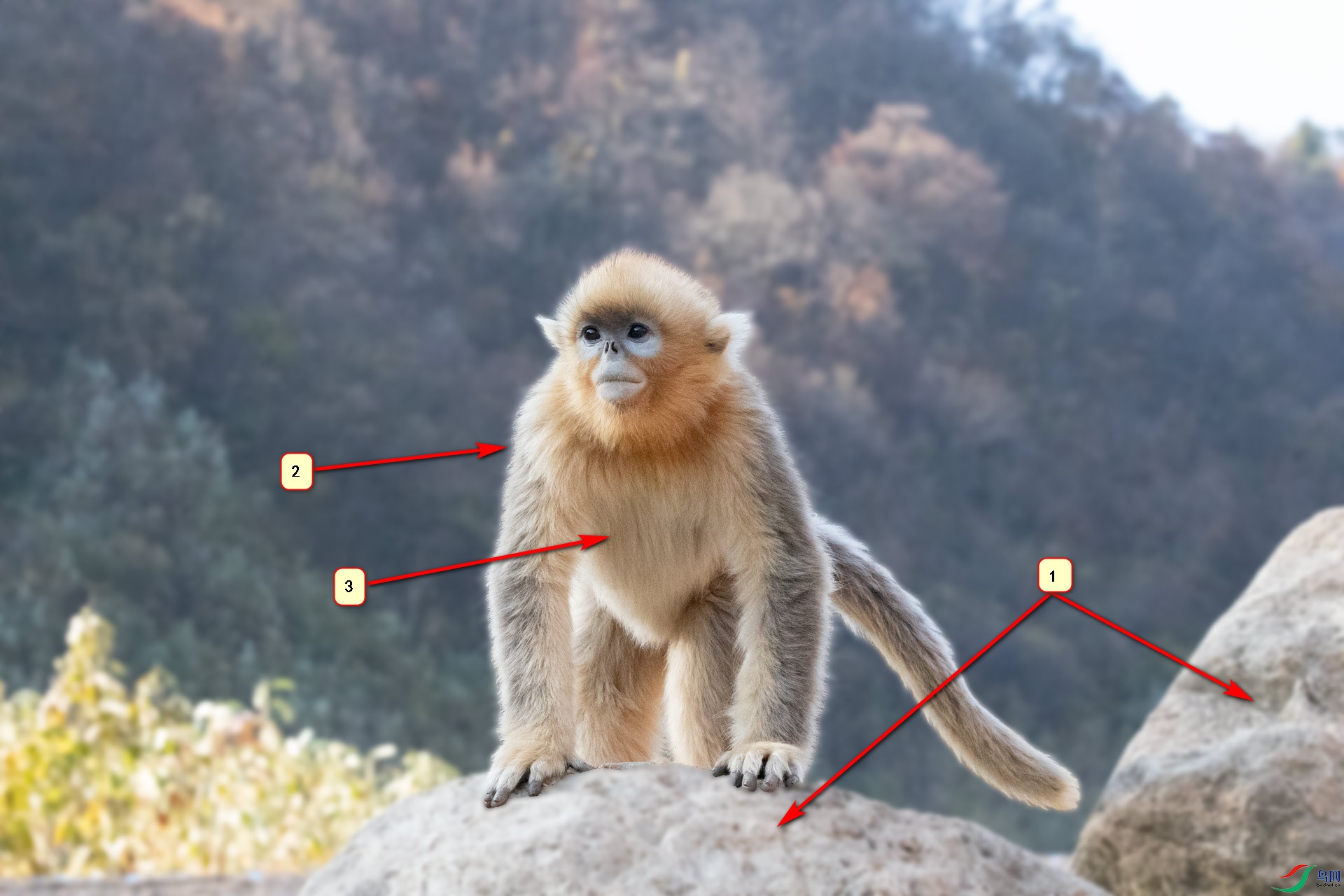 _X8V2093-1mohu1.jpg _X8V2093-1mohu1.jpg