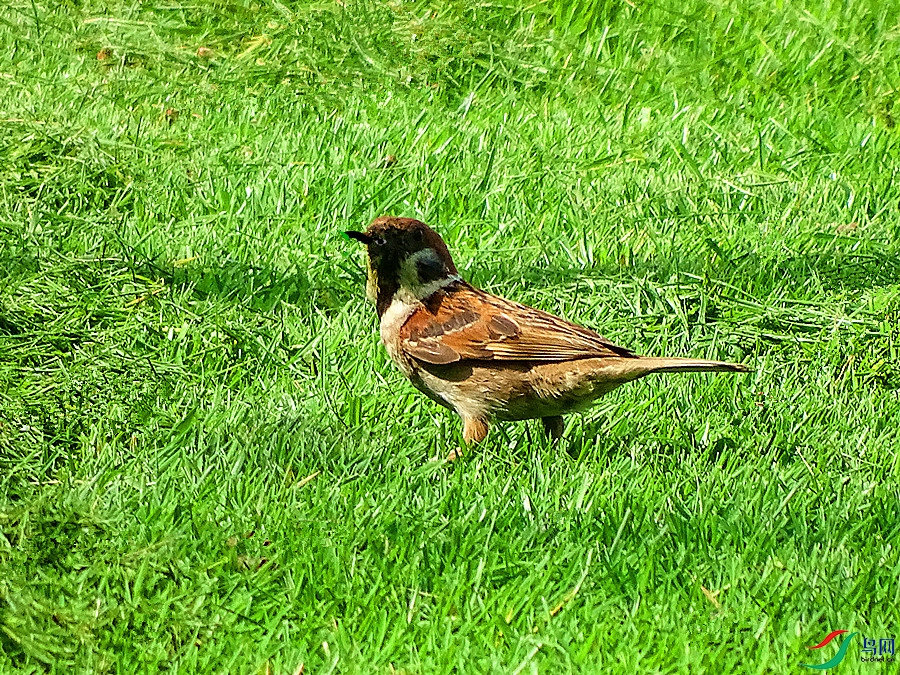 DSC02285.JPG