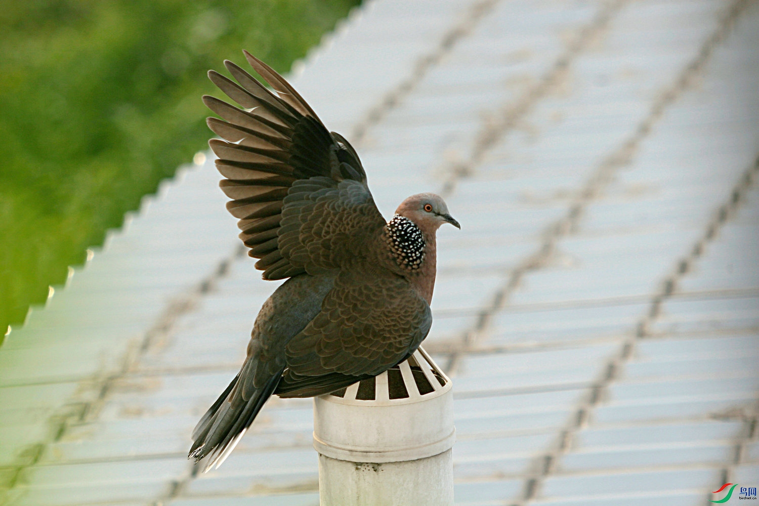 ��Ƭ 5212_����1.jpg