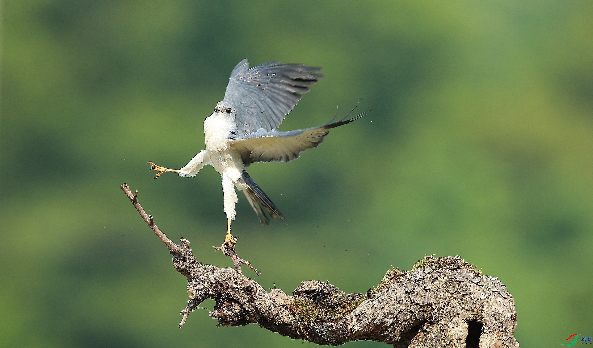 AY8Q7396_����.jpg