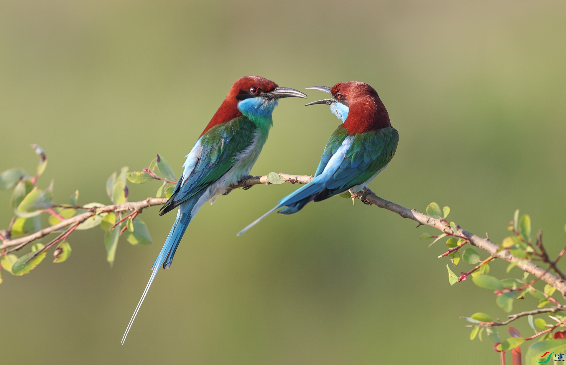 ����083A8481.jpg