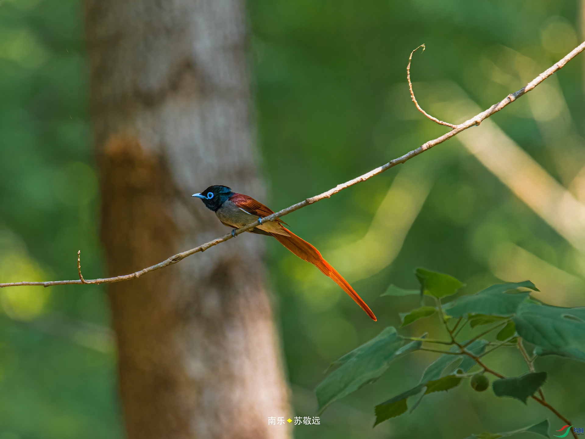 _DSC4263С.jpg