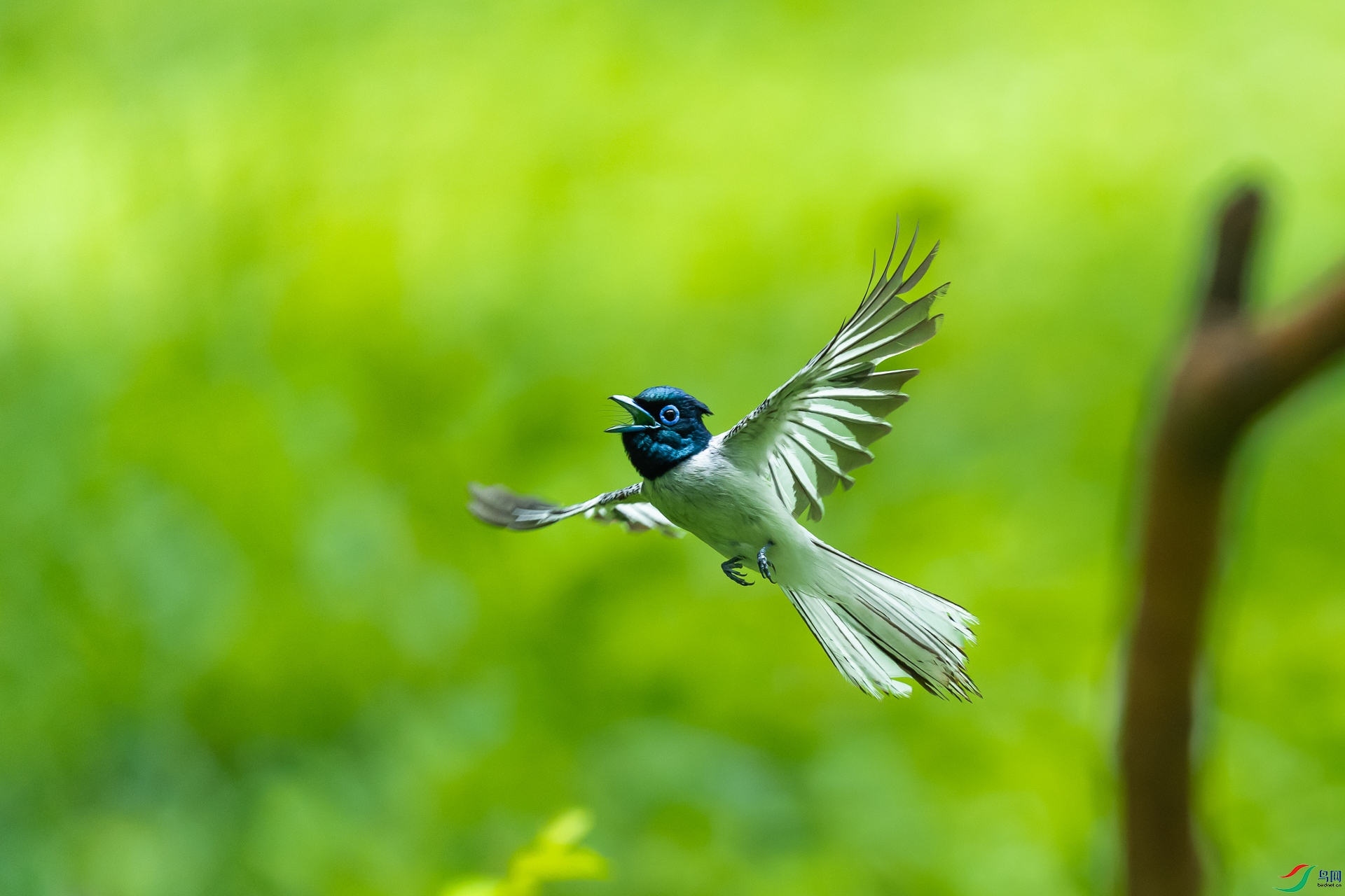 _DSC4276-3.jpg