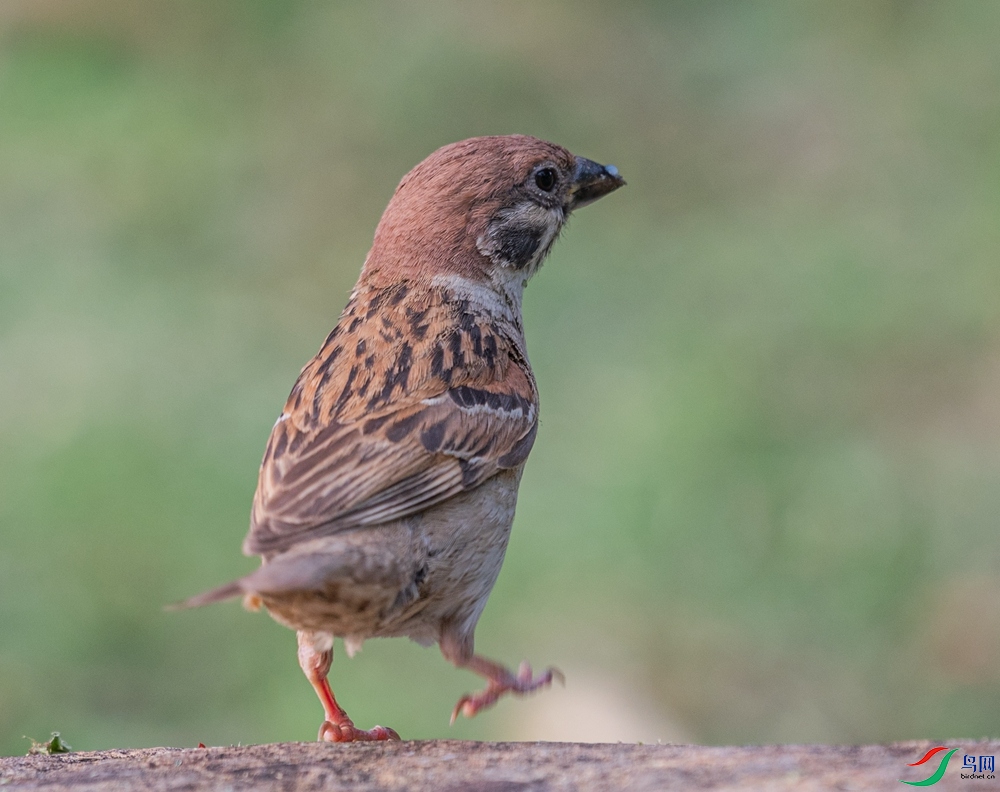 DSC_7094_����.jpg