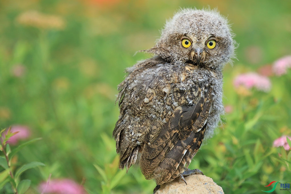 ż������^����