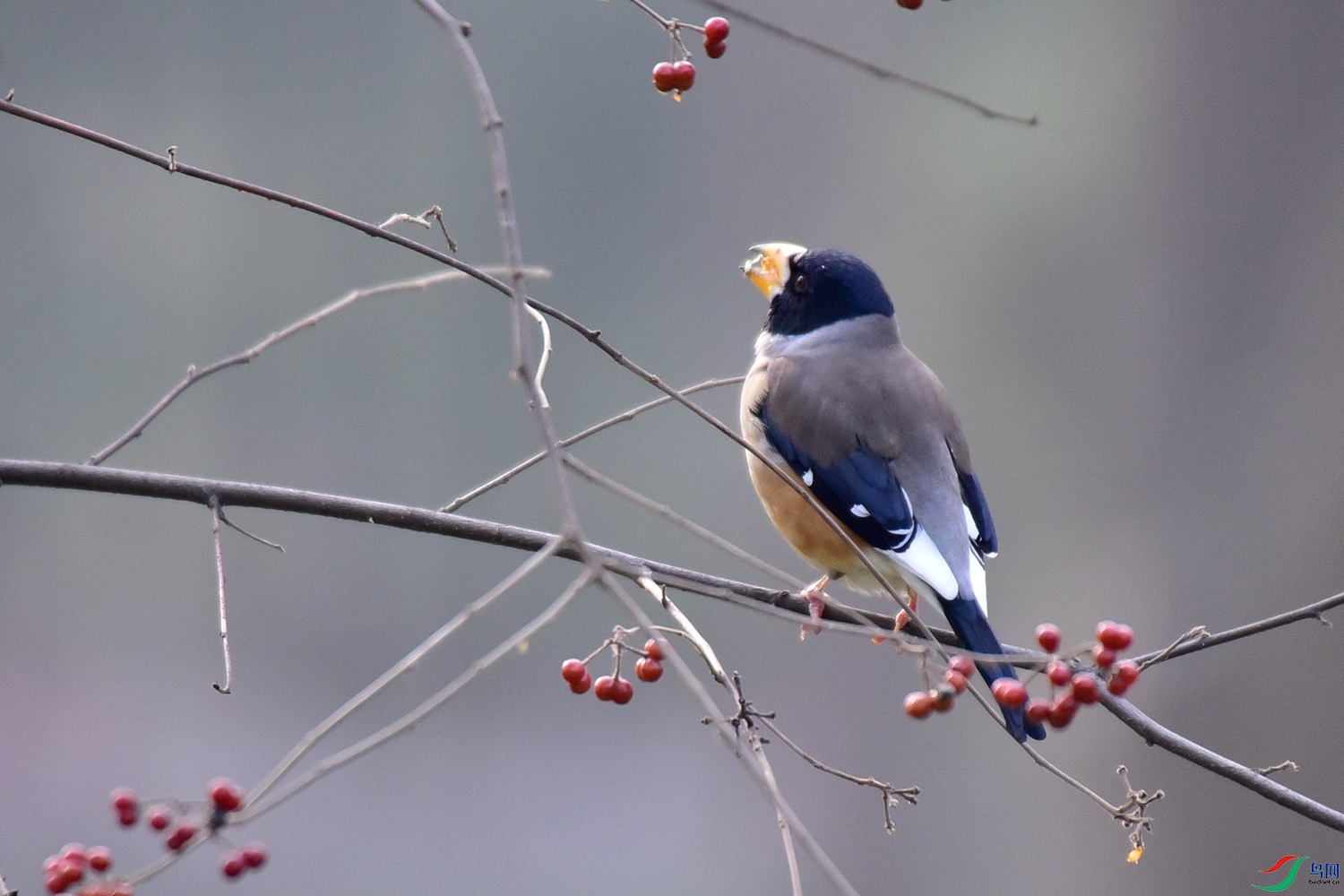 DSC_6495.JPG
