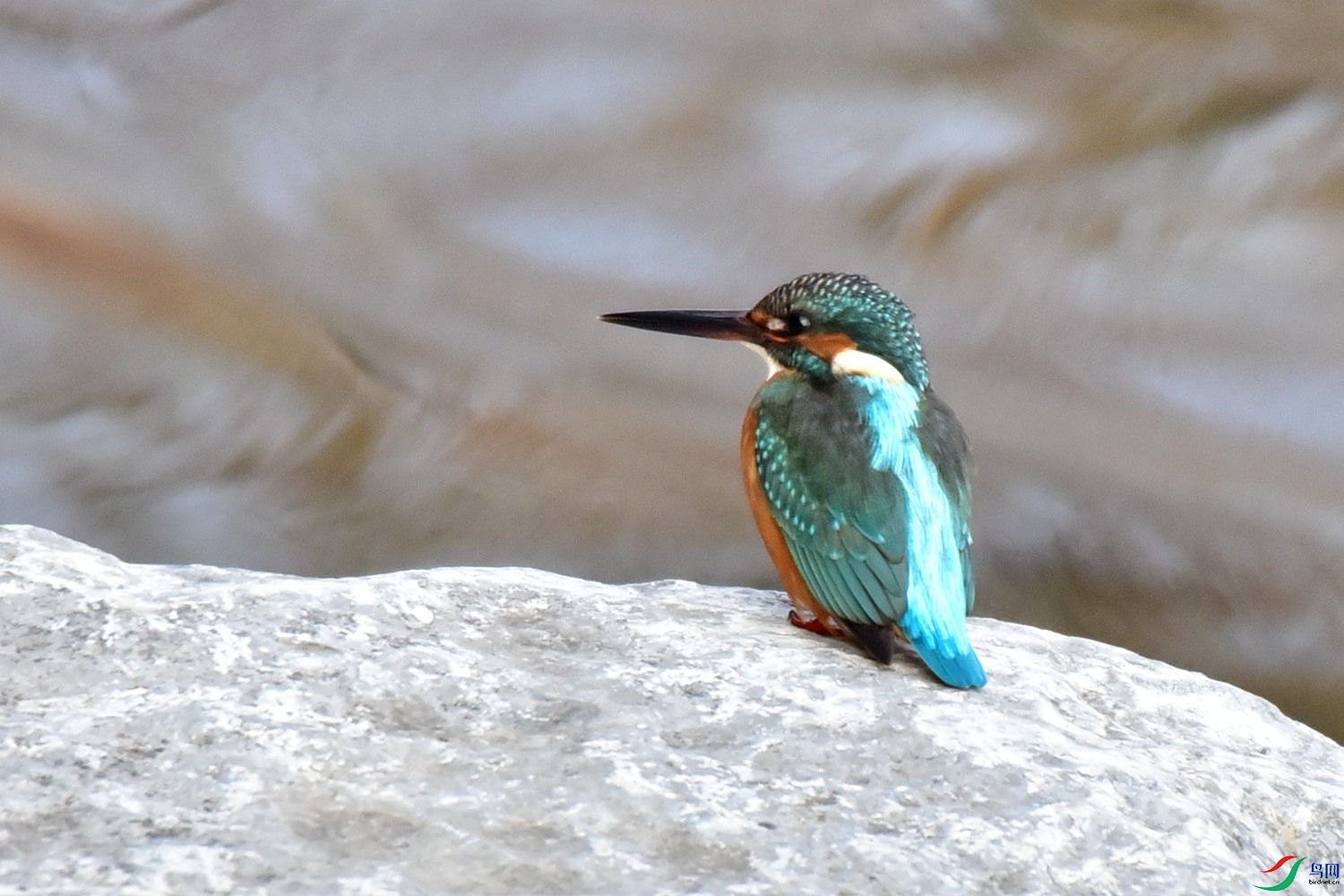DSC_9557.JPG