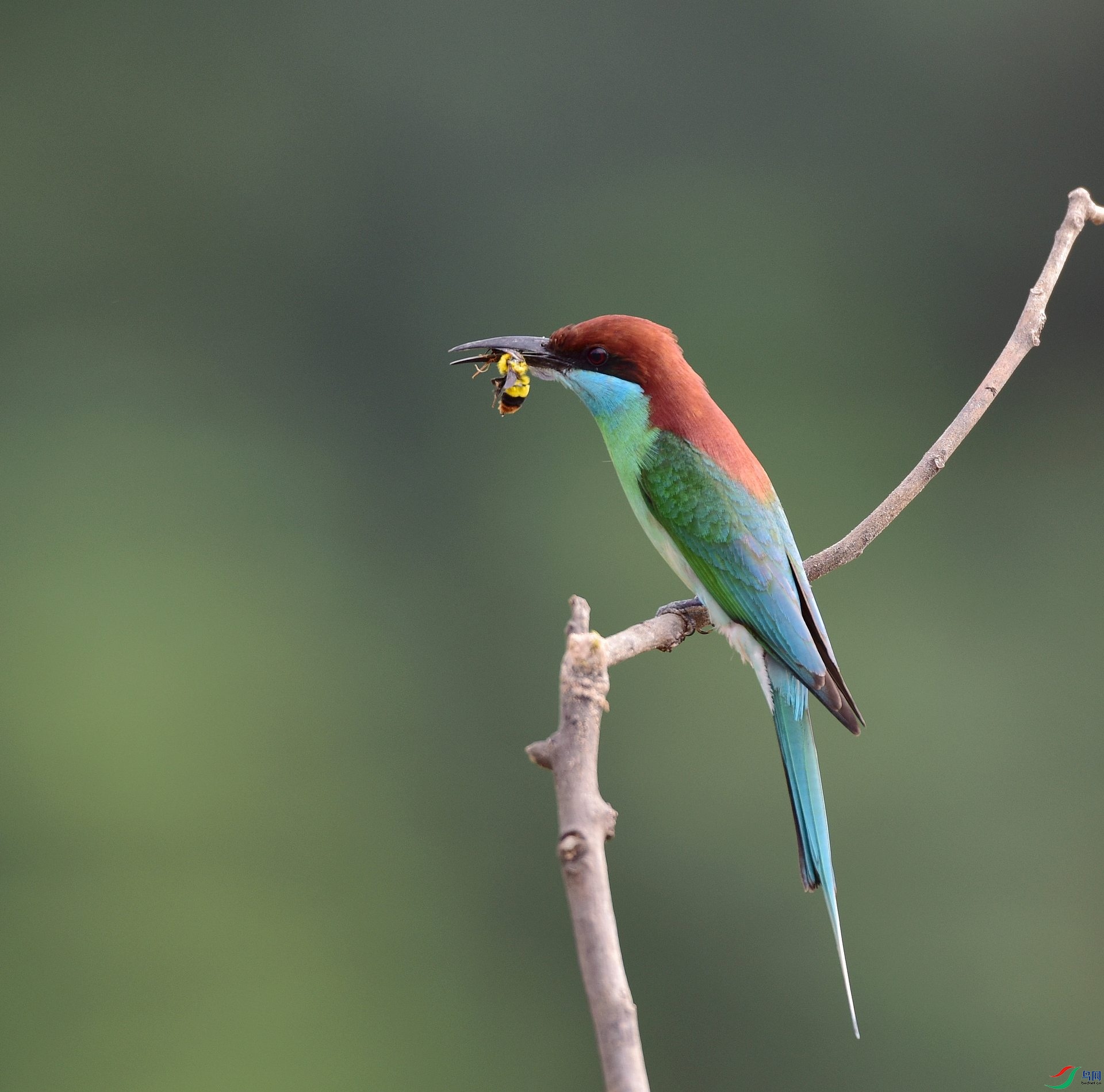 D8I_9670.jpg