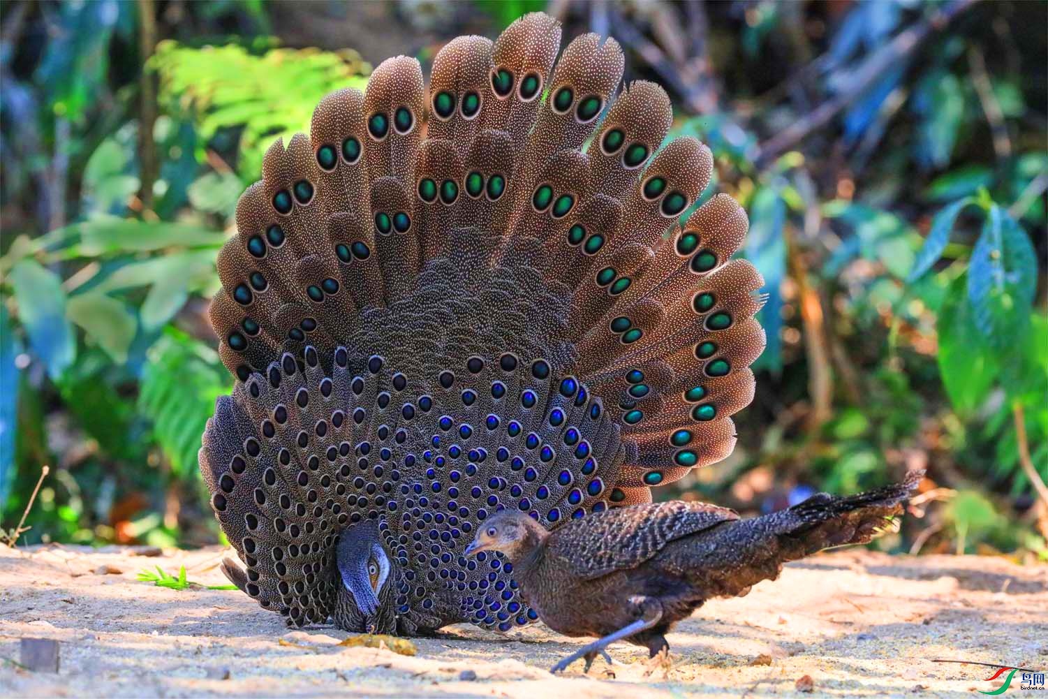 ��ż ����ʽ��.jpg