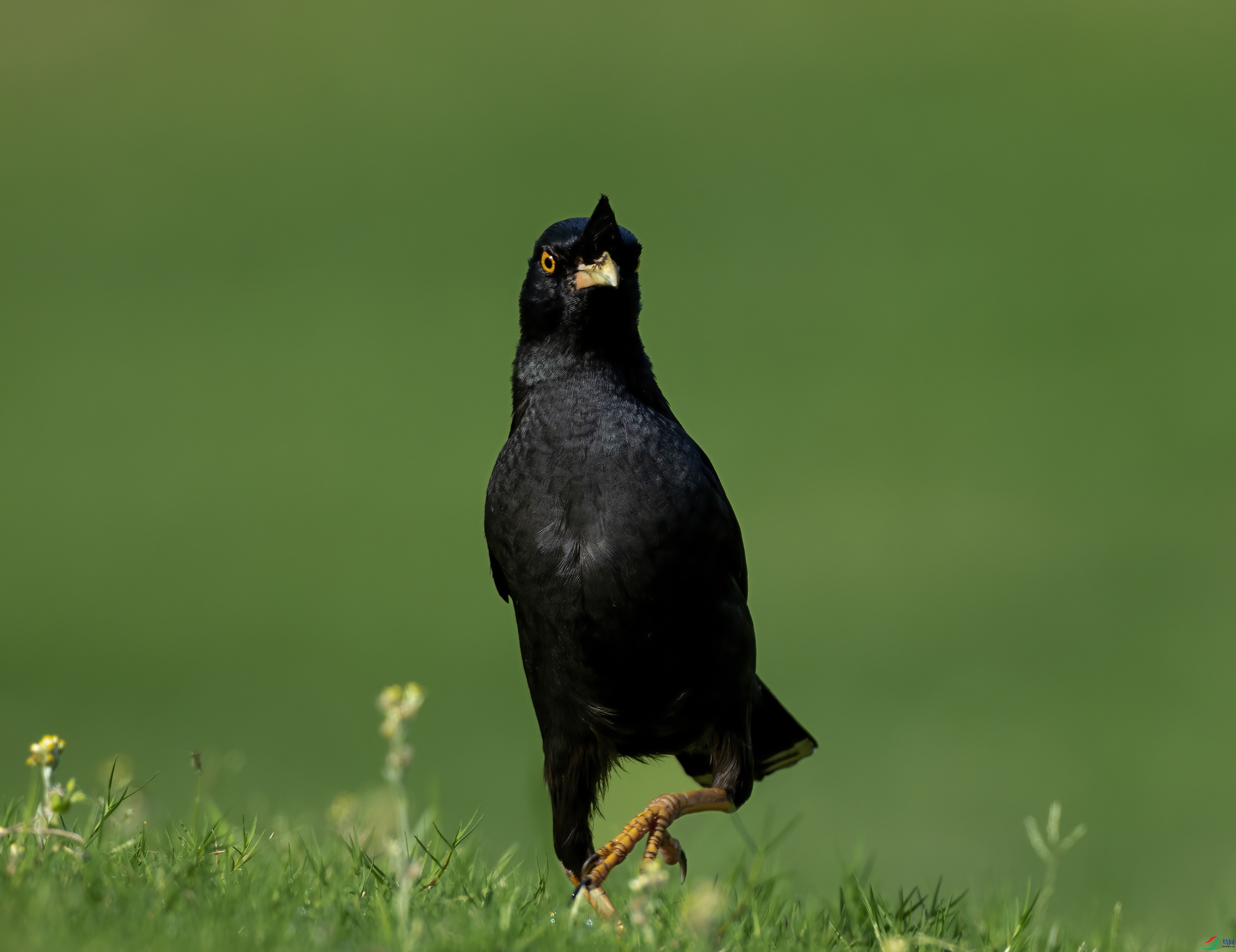046A7844-DeNoiseAI-standard.jpg