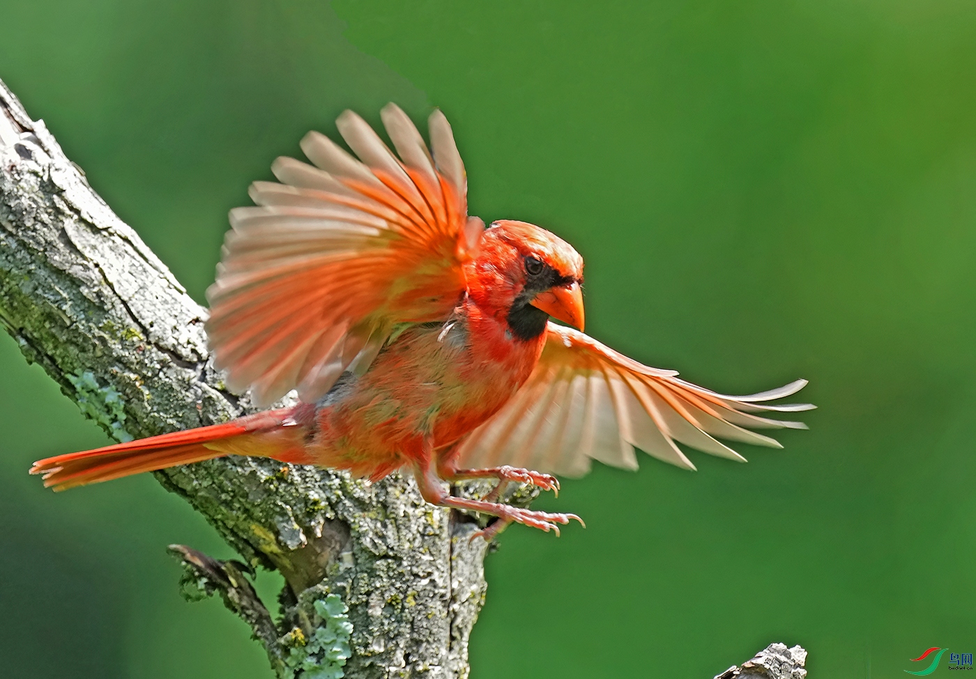 DSD00914----..jpg