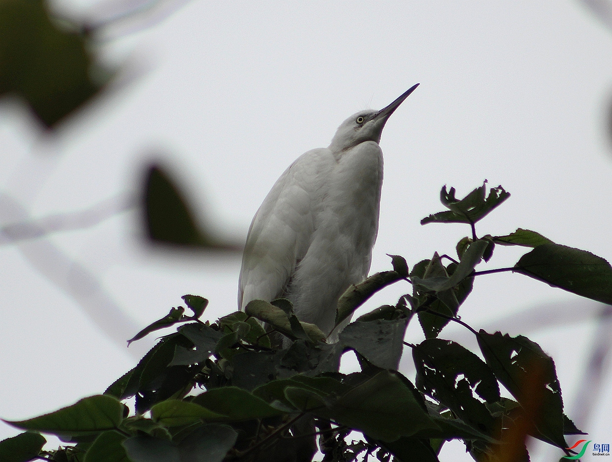 IMG_0049.jpg