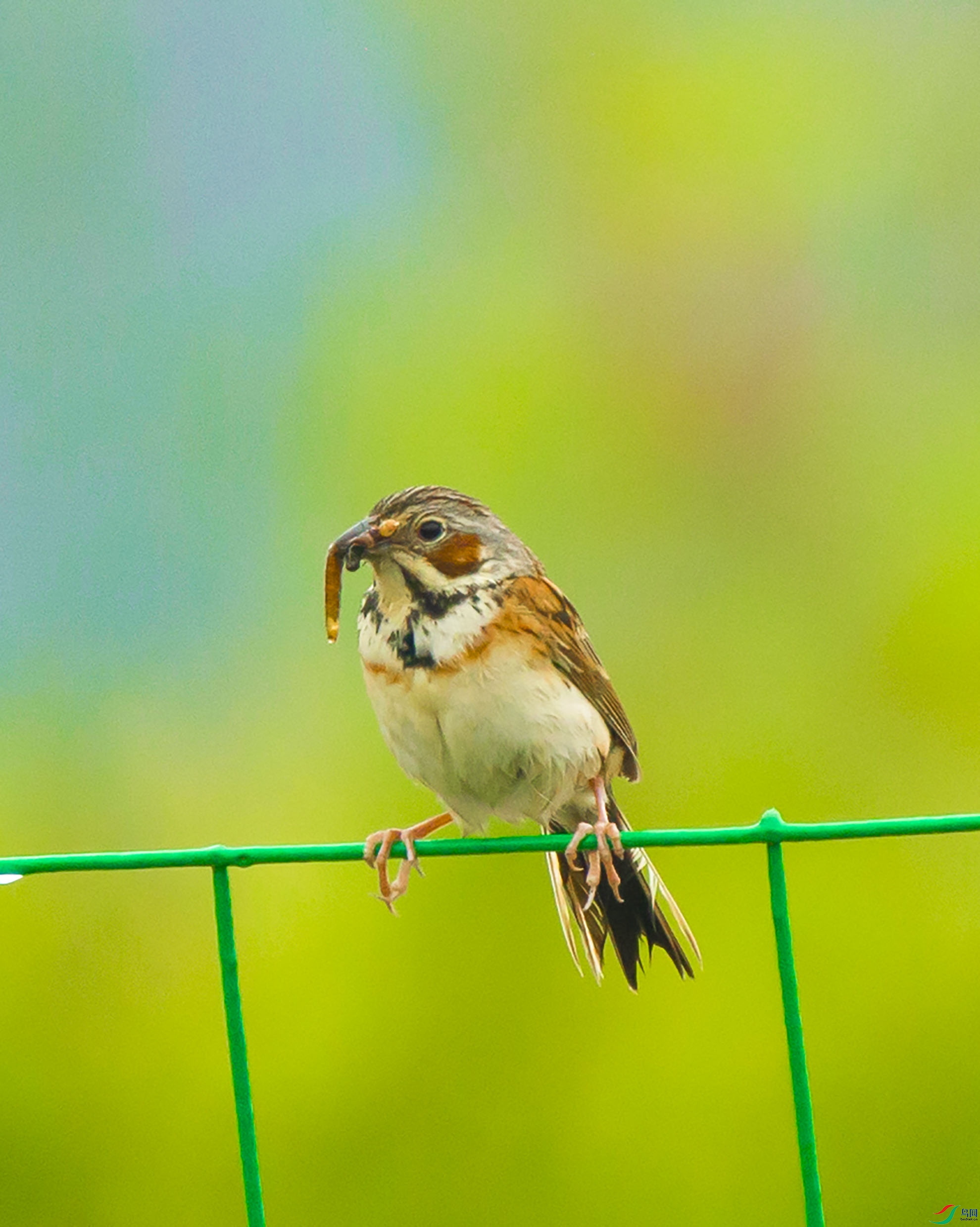 ���2.jpg