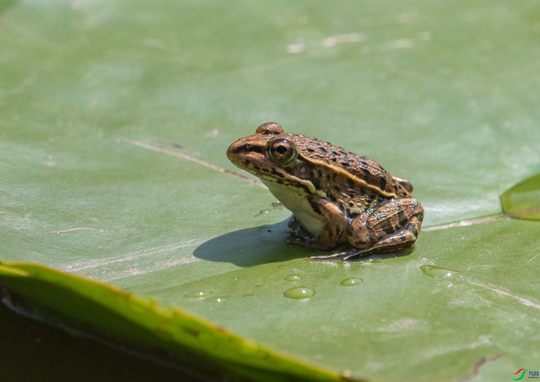 DSC_8408.jpg