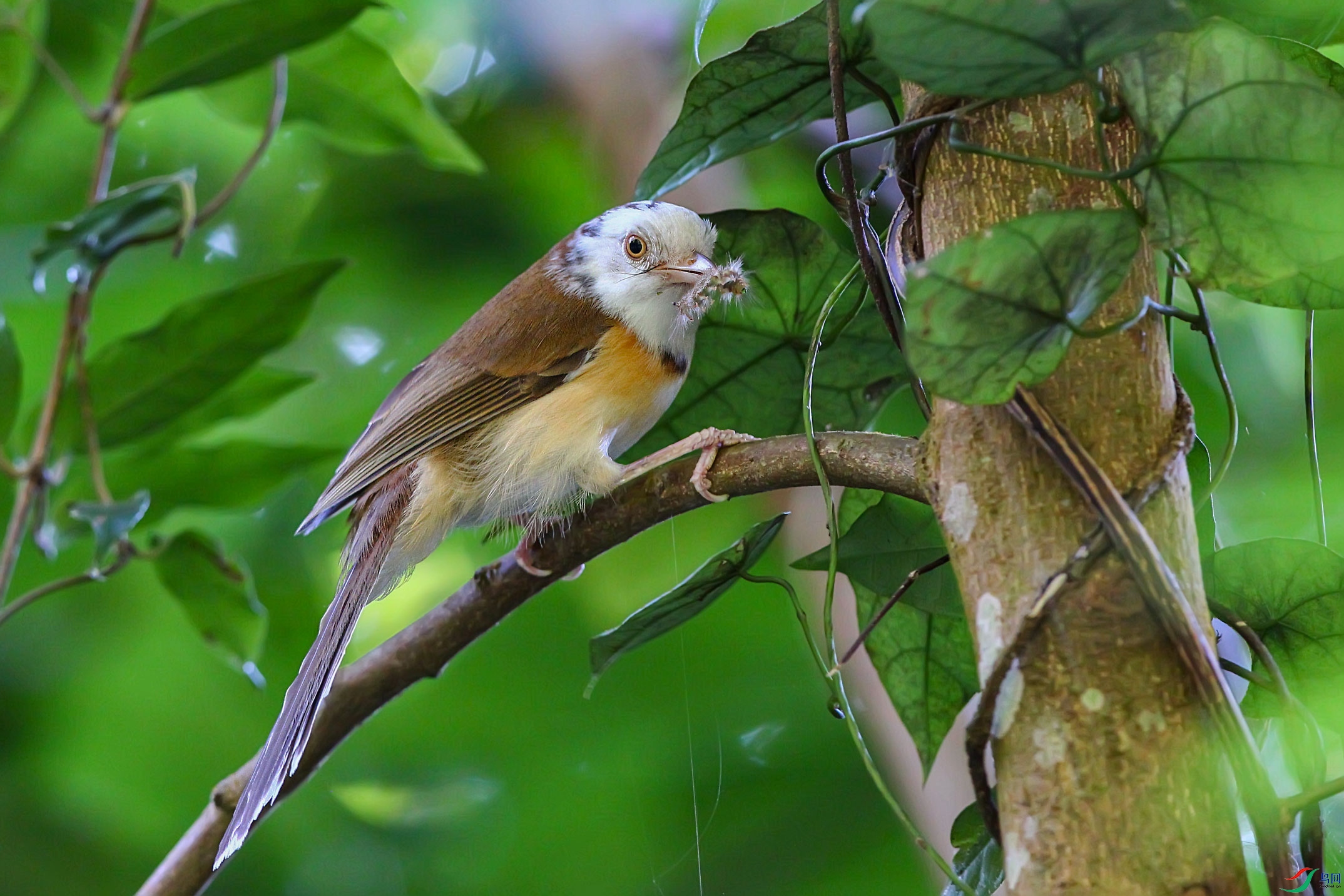 �����V�� (3).JPG