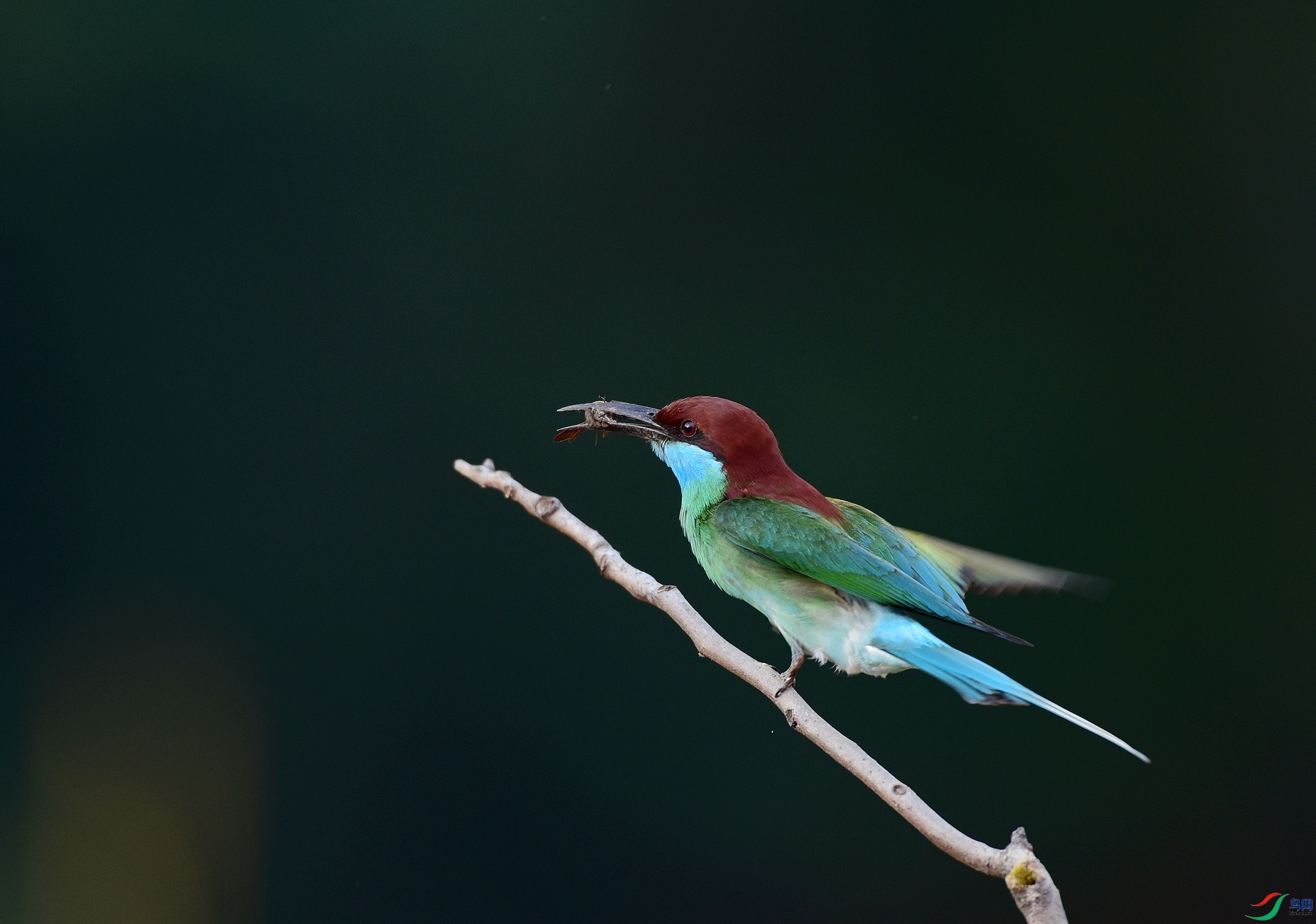 D8I_0409.jpg