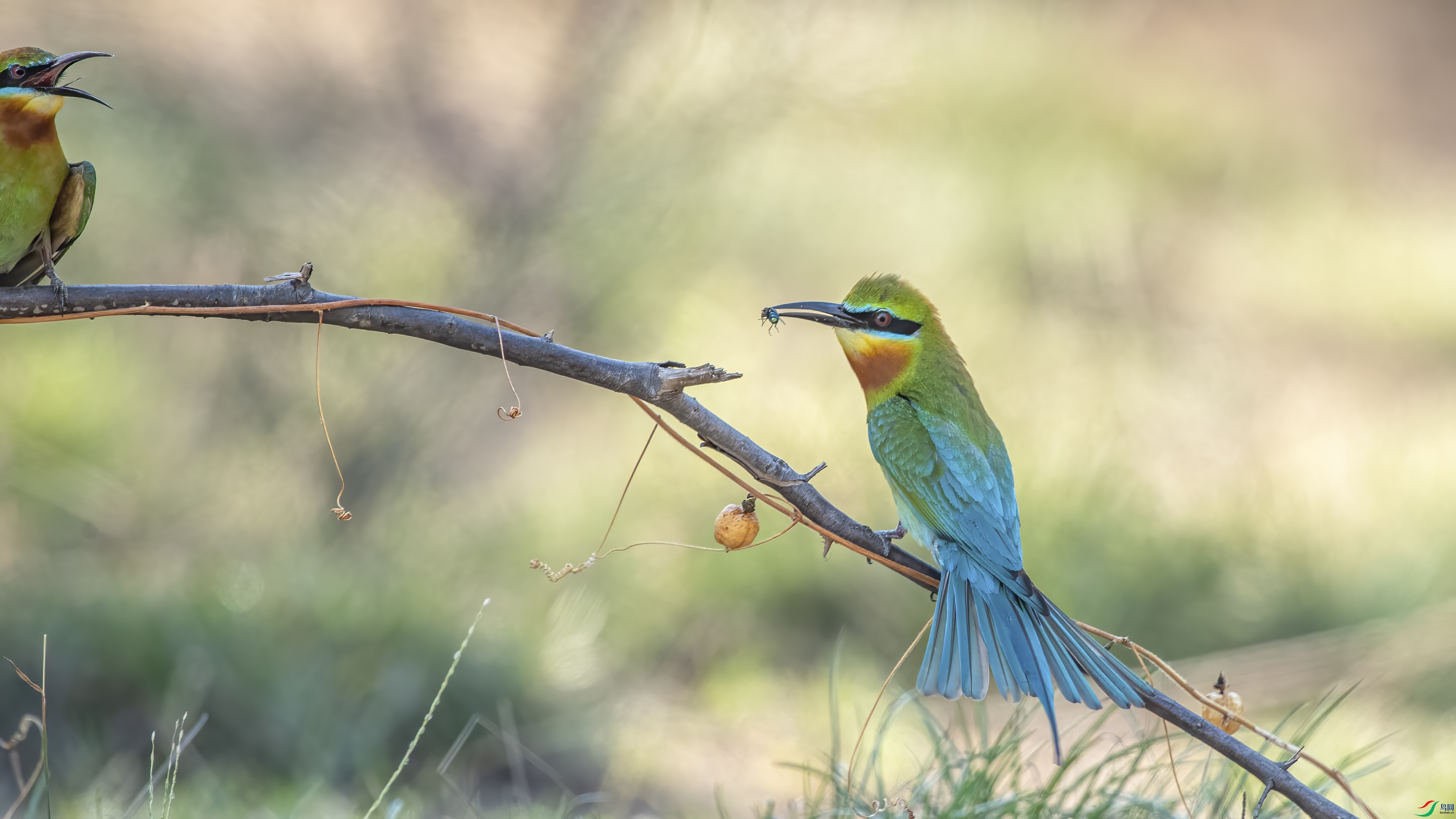 DSC_7893_1.jpg
