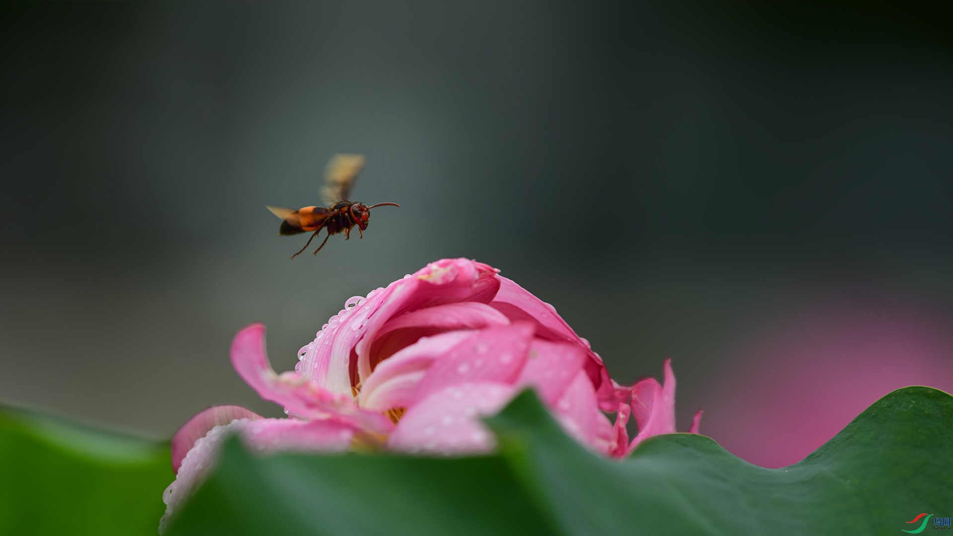 DSC_4188 ����.jpg