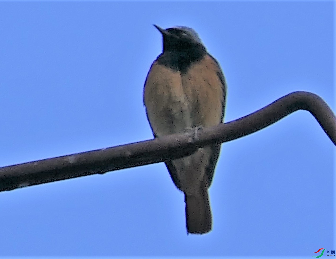 ��4-����˹P2480496.JPG