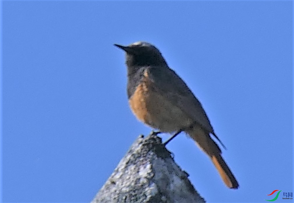 ��4-����˹P2480498.JPG