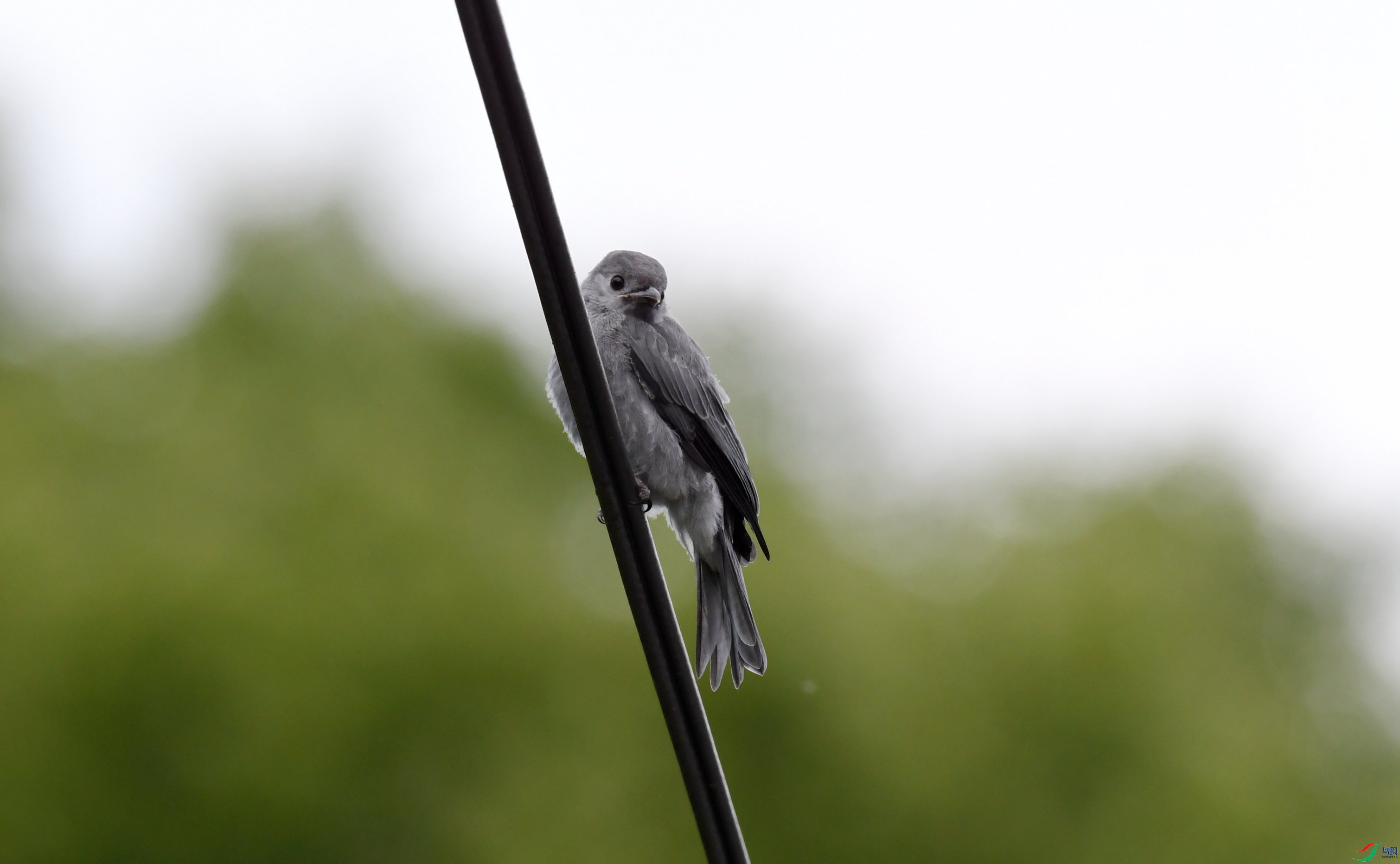 �Ҿ�β �ǳ�.JPG