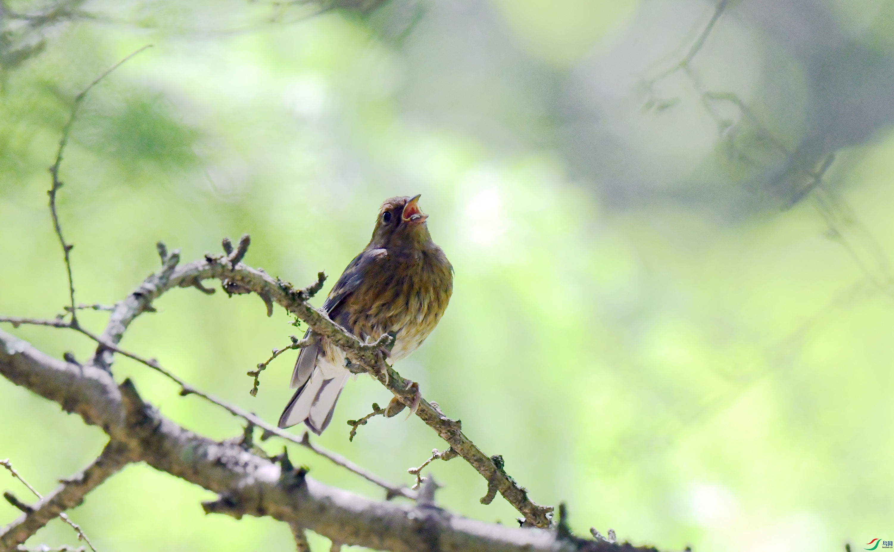 ���c �ǳ� ��.JPG