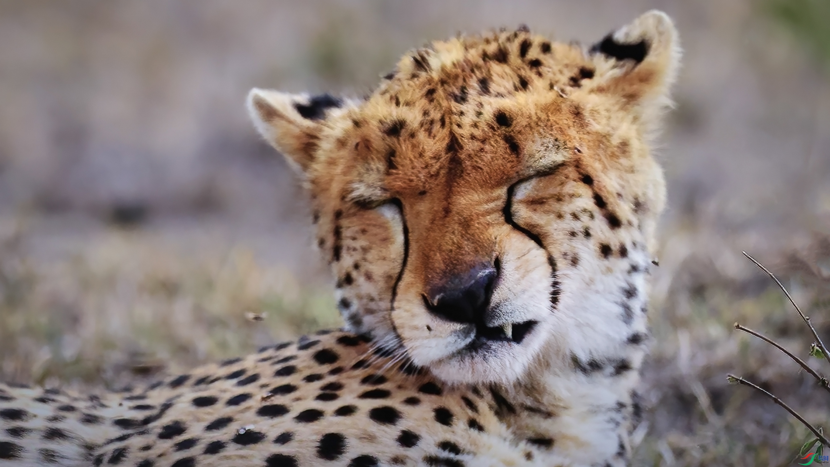 �����ڿ���������������