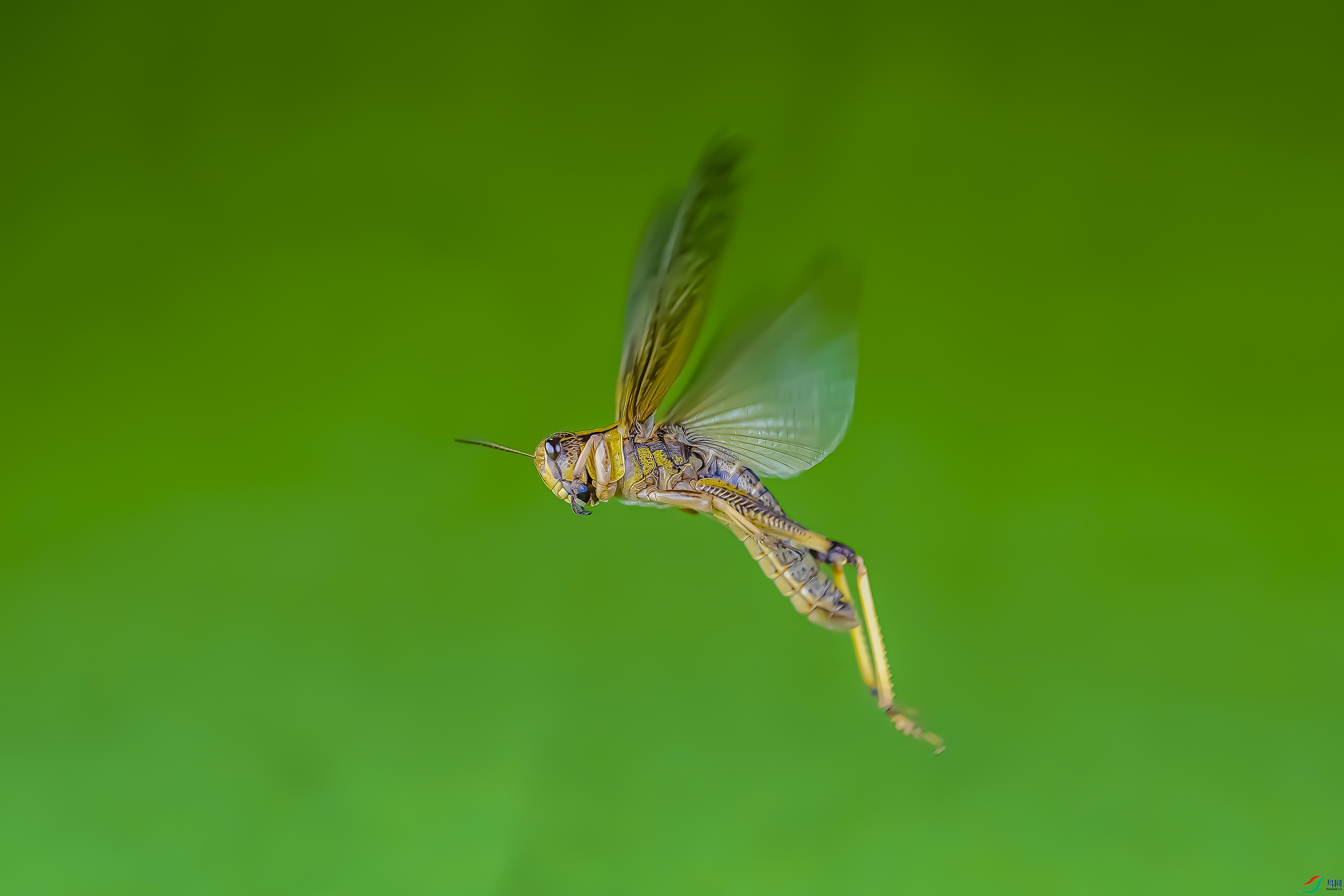 09 ������� 1000k ������.jpg