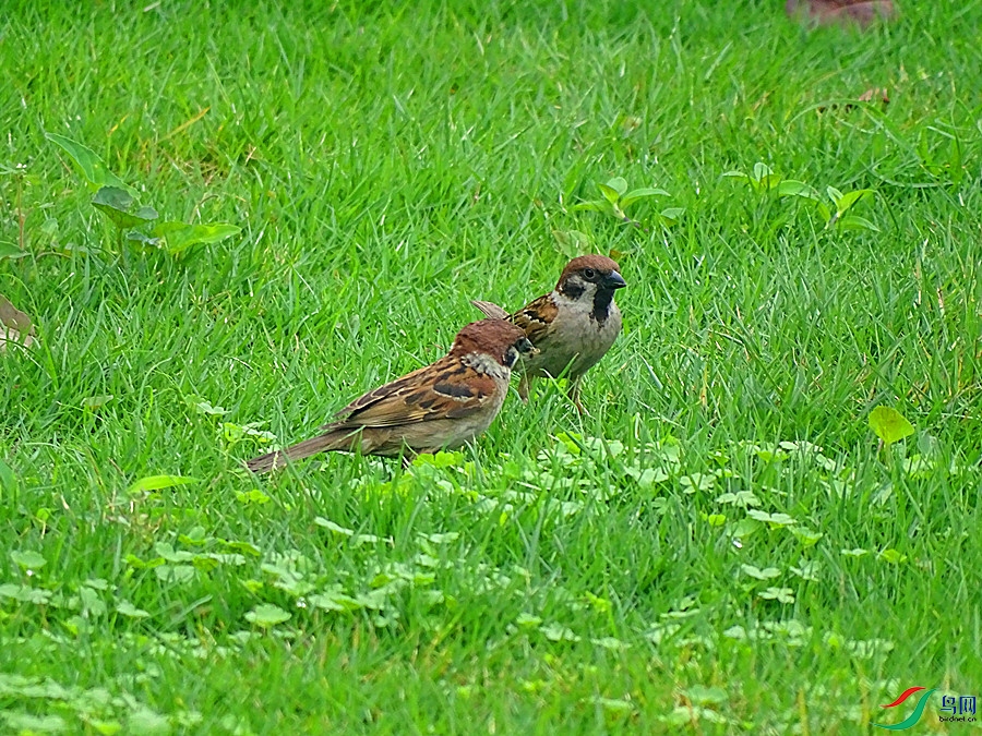 DSC02090.JPG