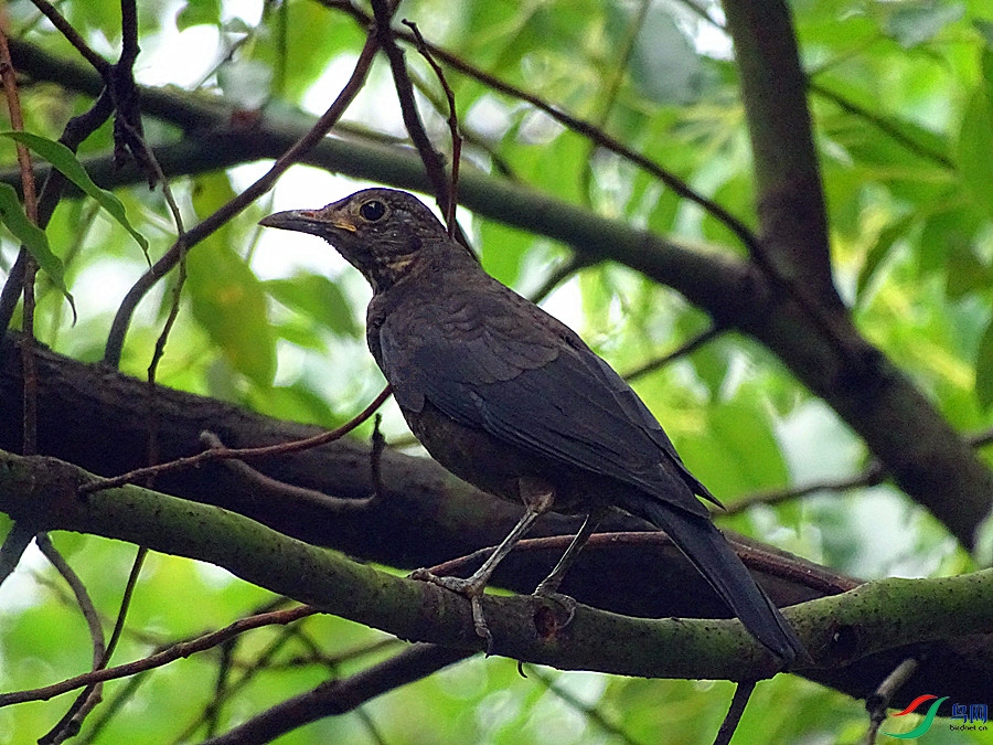 DSC02091.JPG