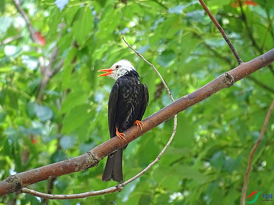 DSC02144.JPG