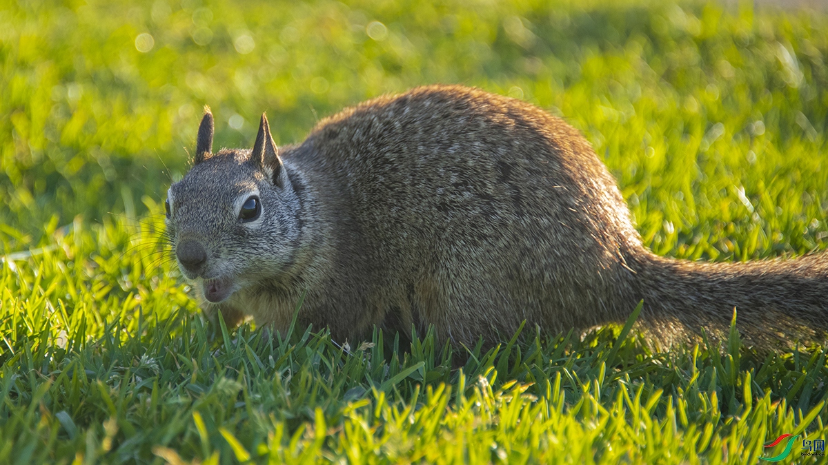 DSC_0362.jpg