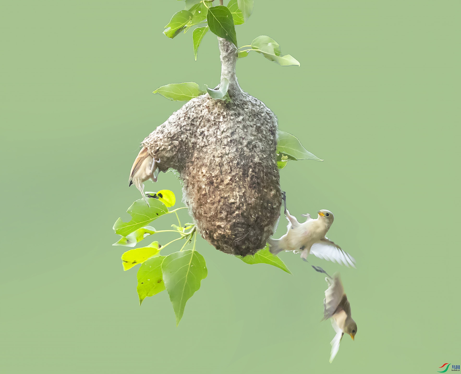 019A5040 ����.jpg