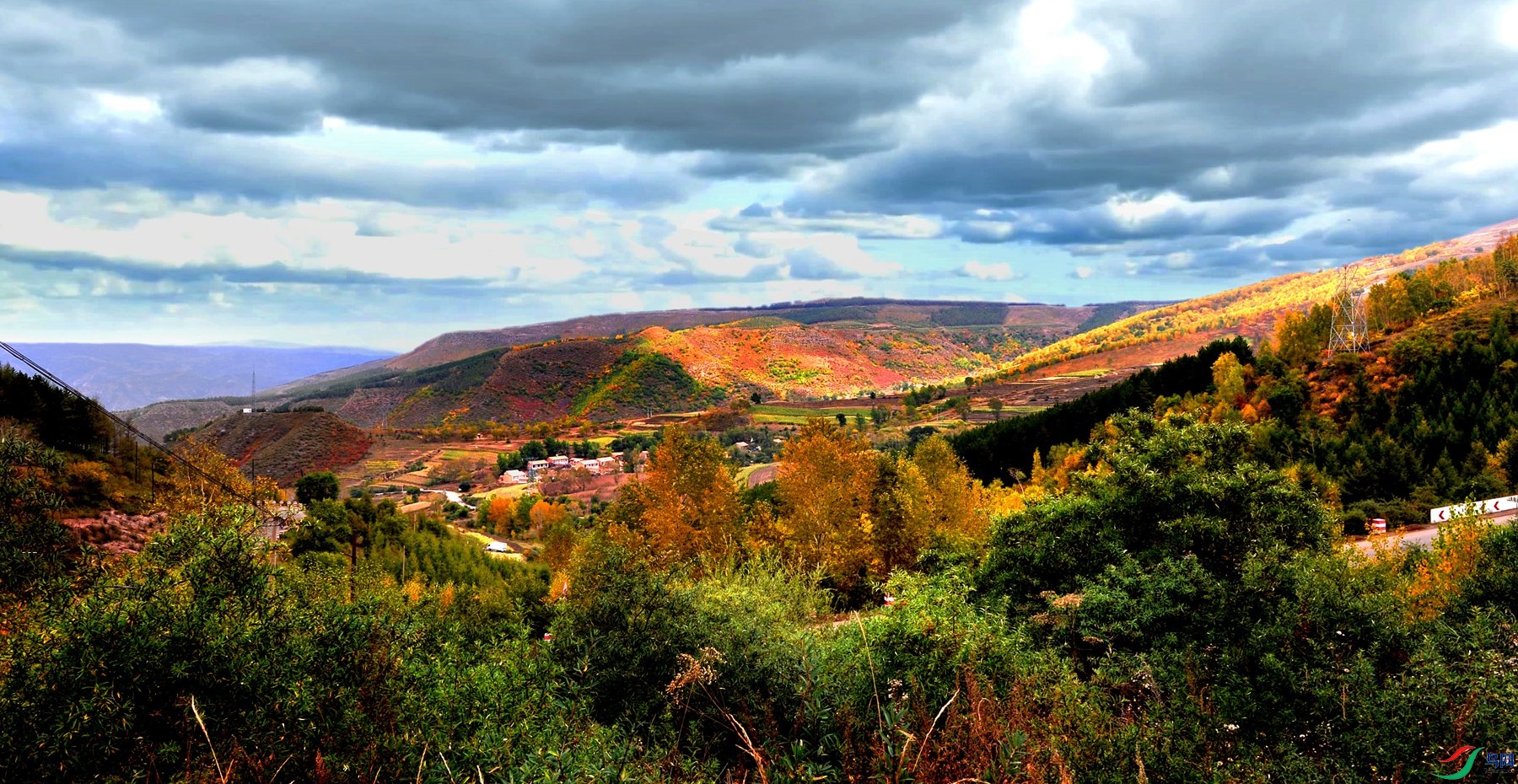 DSC_8231 ����.jpg