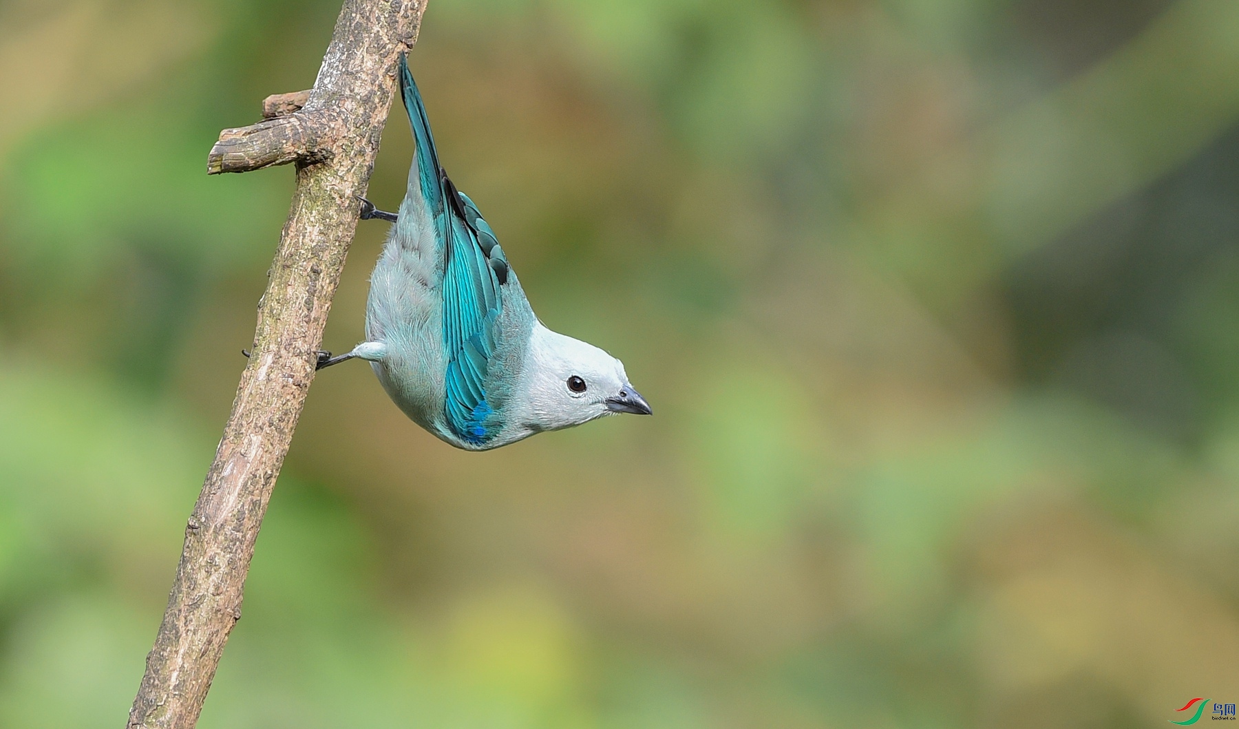DSC_2374_����.jpg