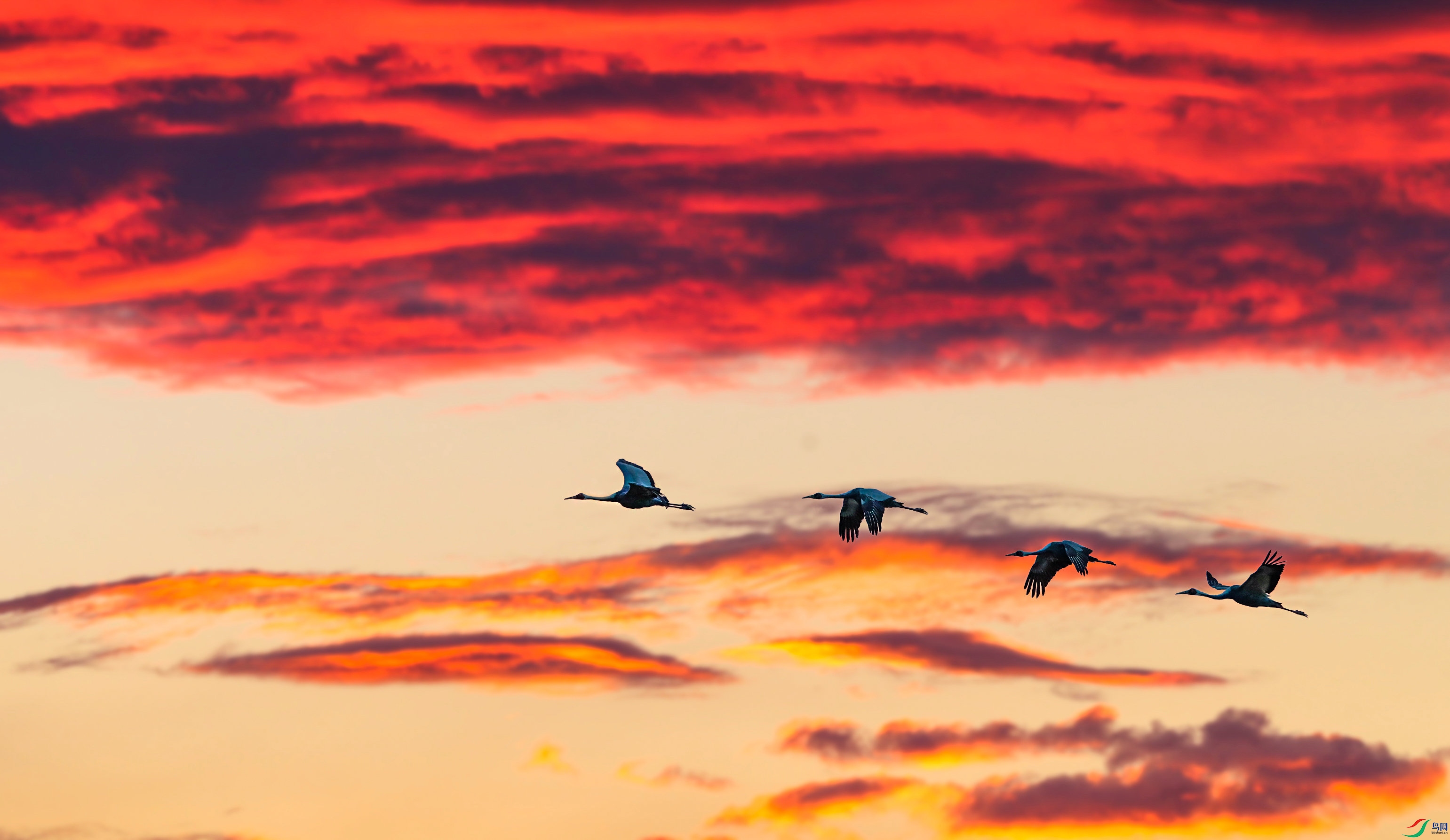 B49R8574-1����.jpg