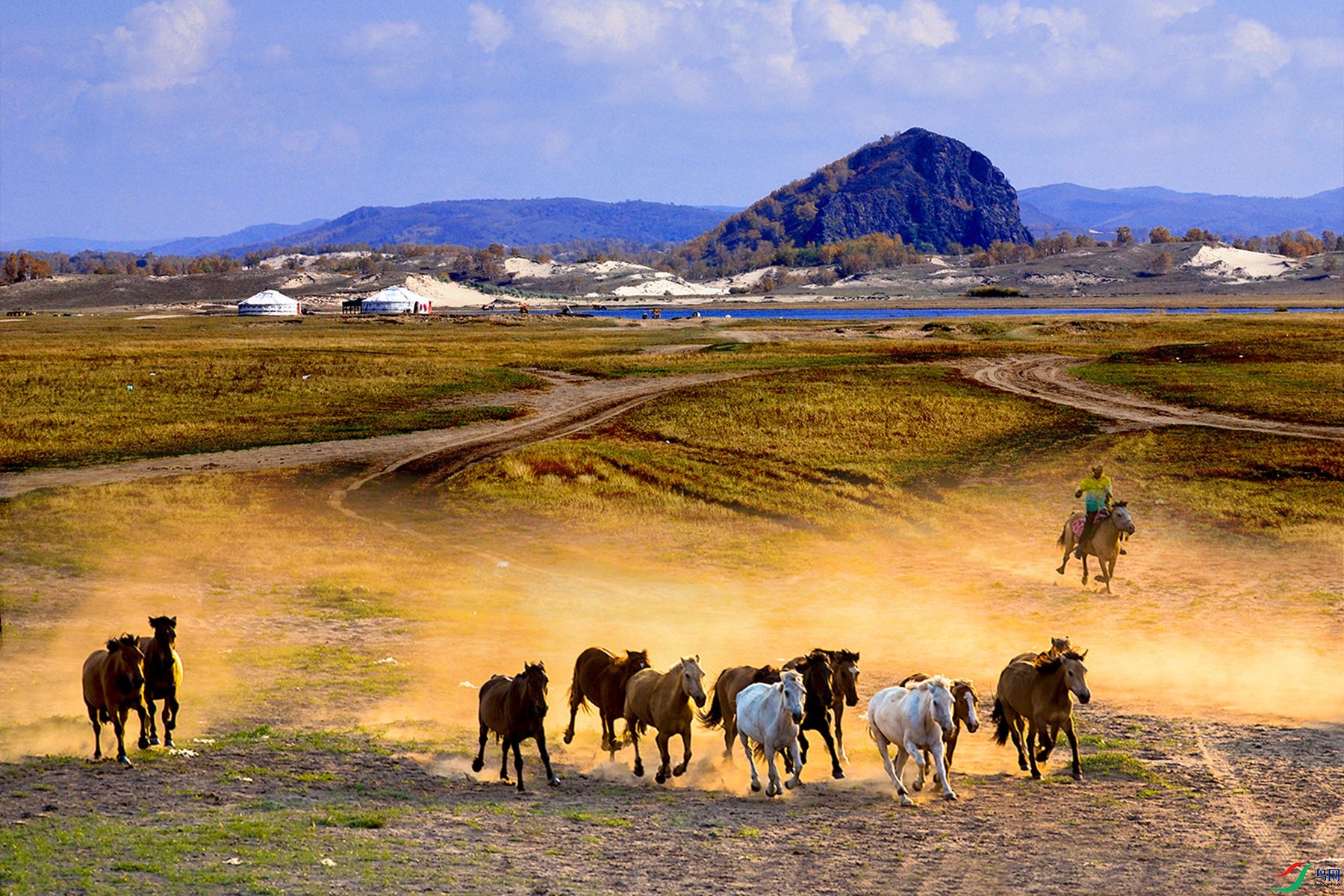 DSC_0487 ����.jpg