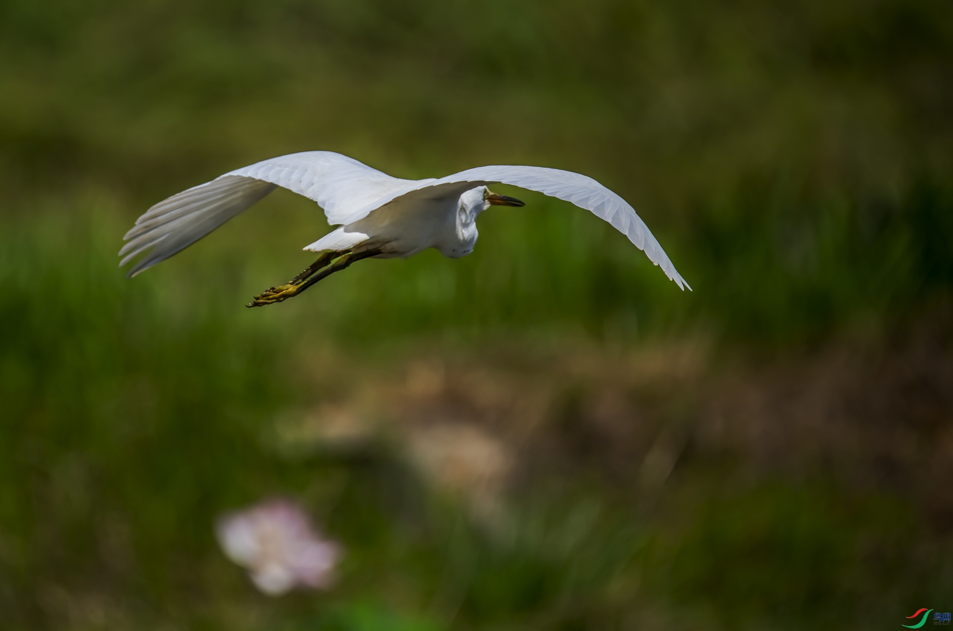 DSC_1755.jpg