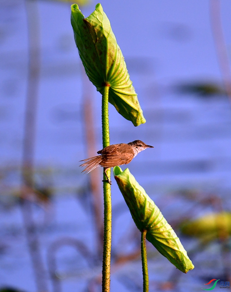 DSC_3754.JPG