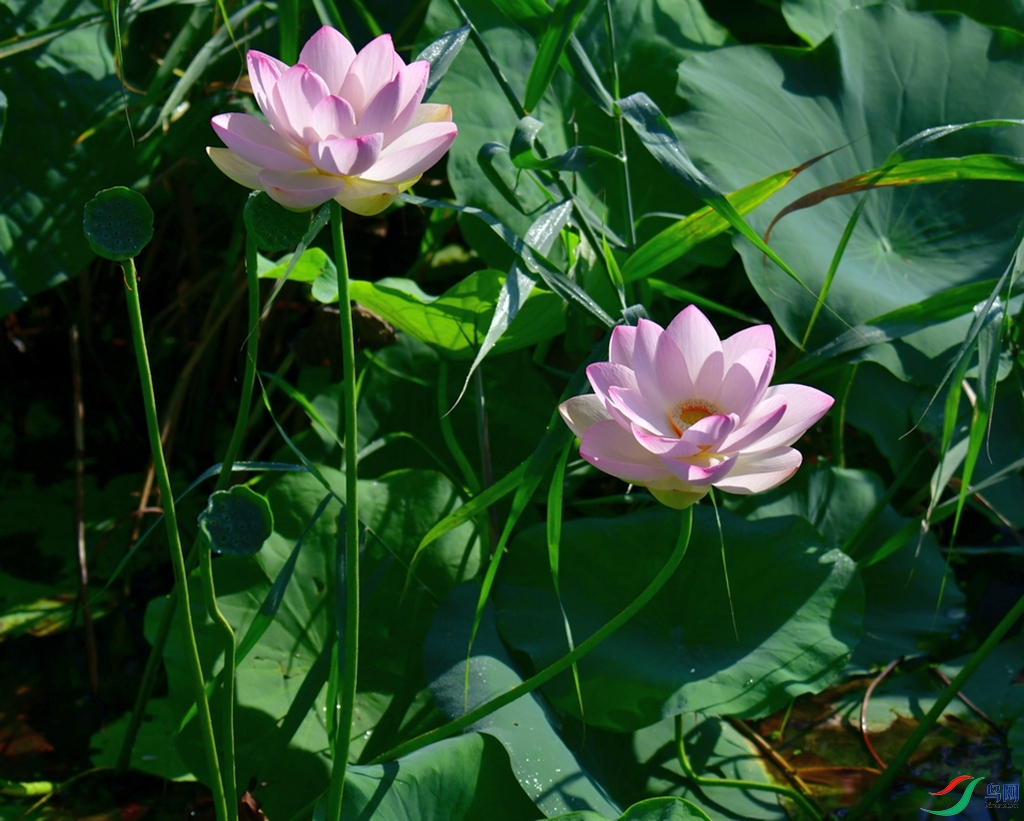 DSC_4112.JPG
